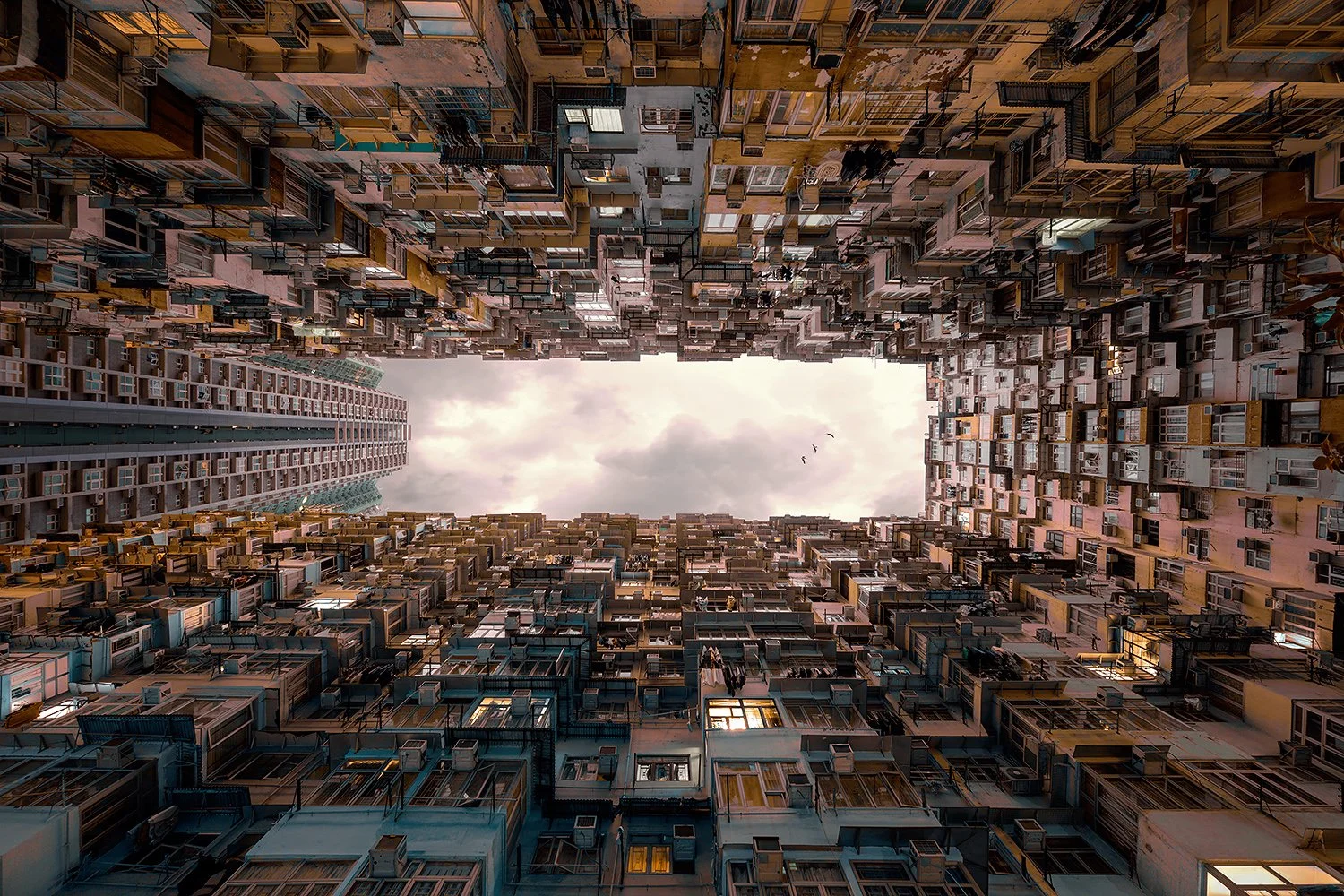 The Monster Building