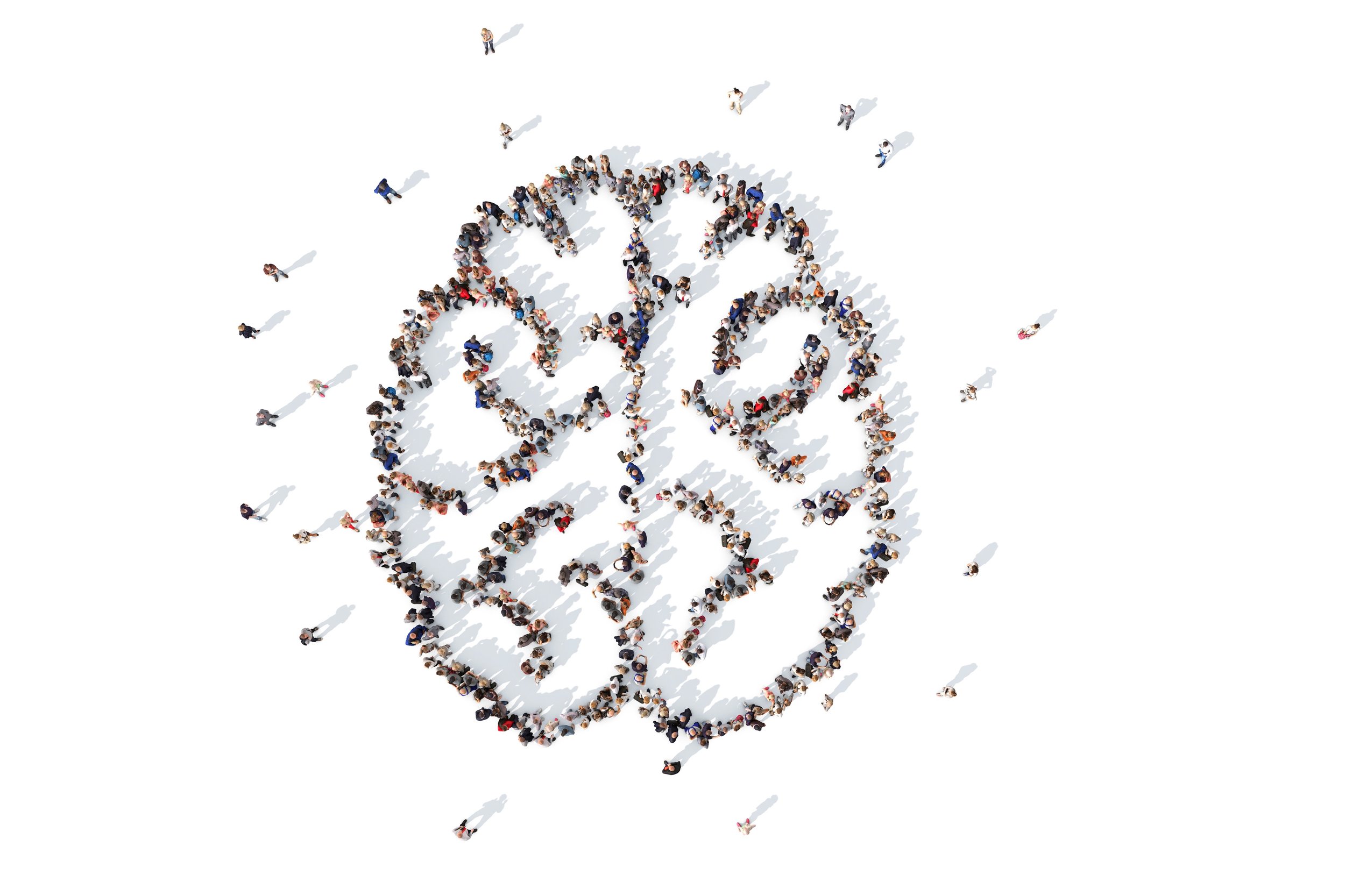 people brain.jpg