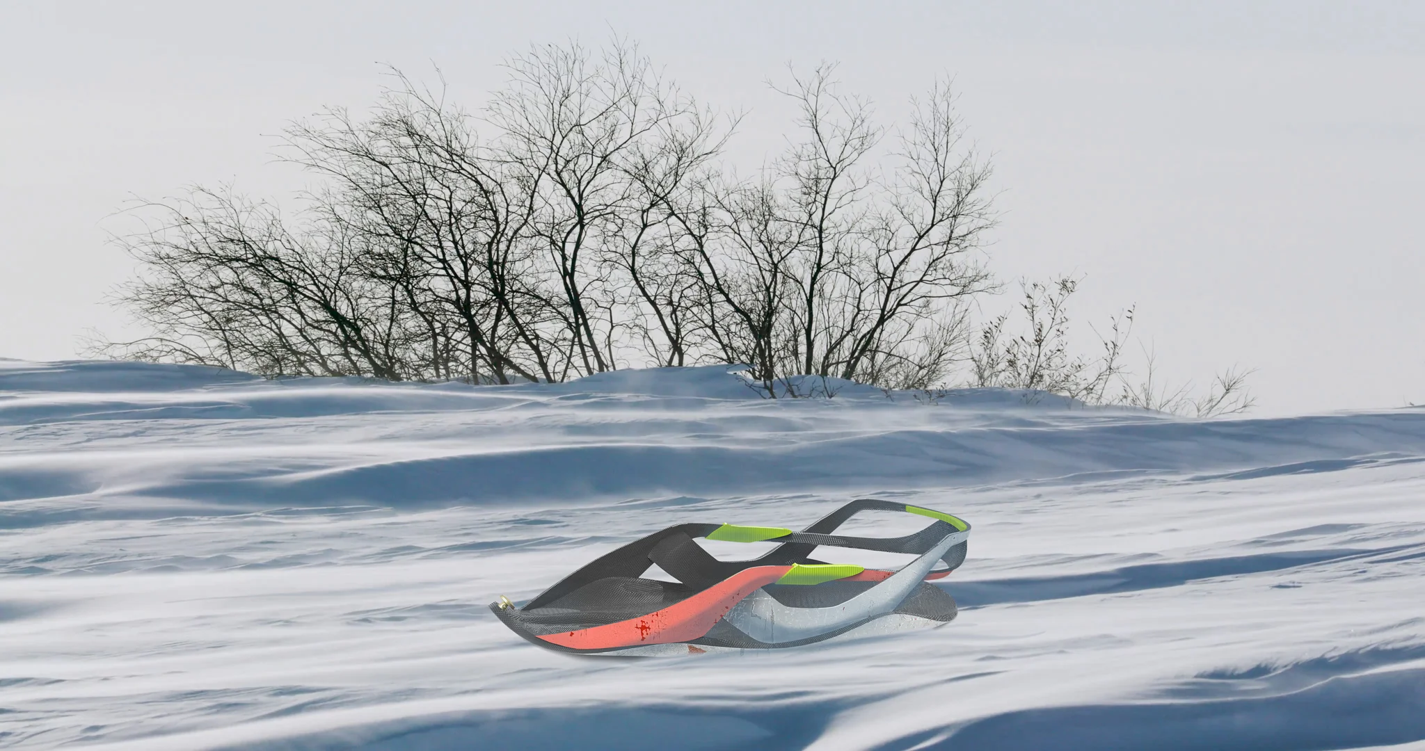 Sled_Shreejan_Shrestha 6.jpg