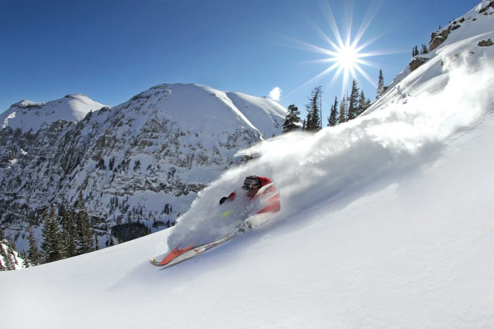 Sled_Shreejan_Shrestha 9.jpg