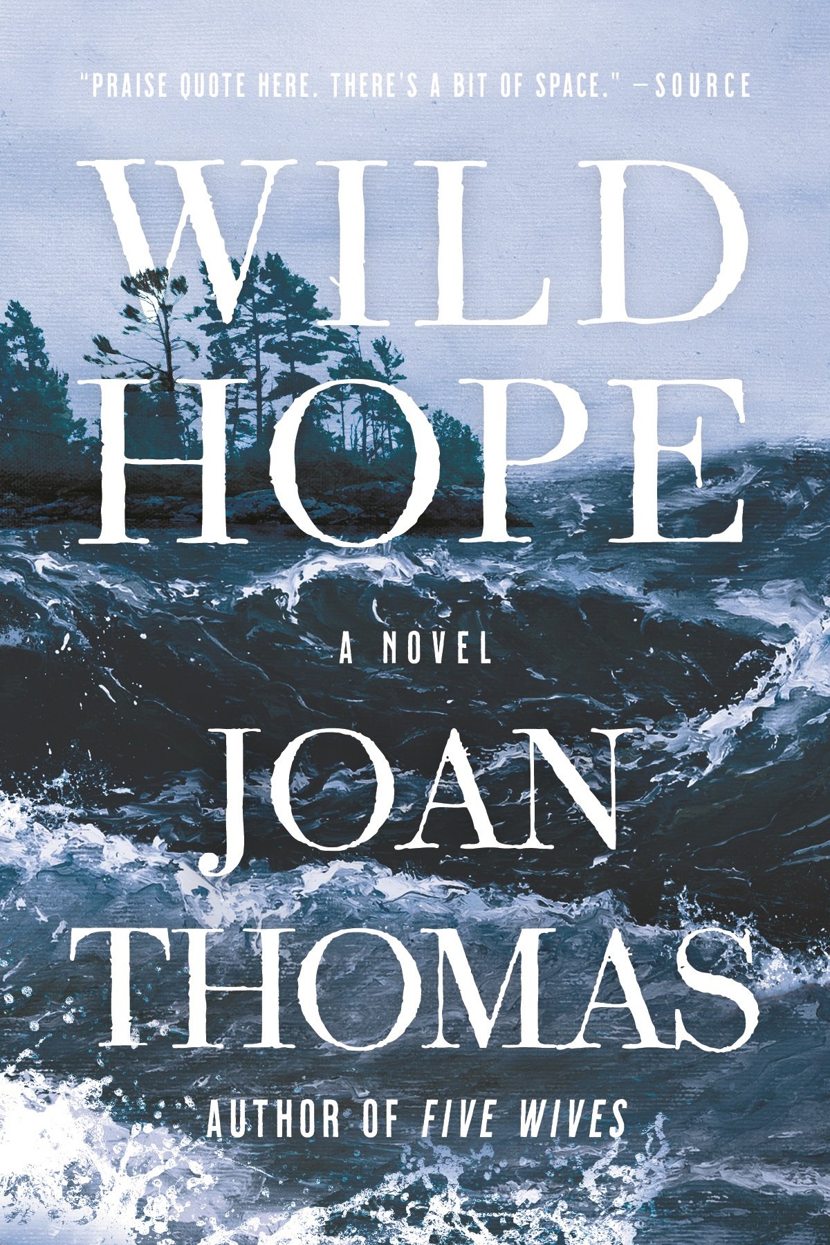 Thomas, Joan - Wild Hope - draft 2 HCC cover.jpg