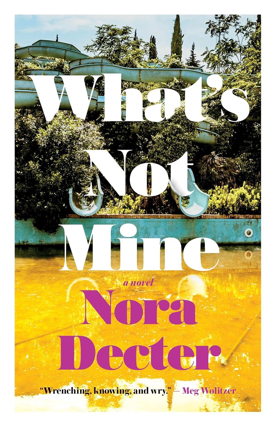 Dector, Nora - What's Not Mine - cover.jpg
