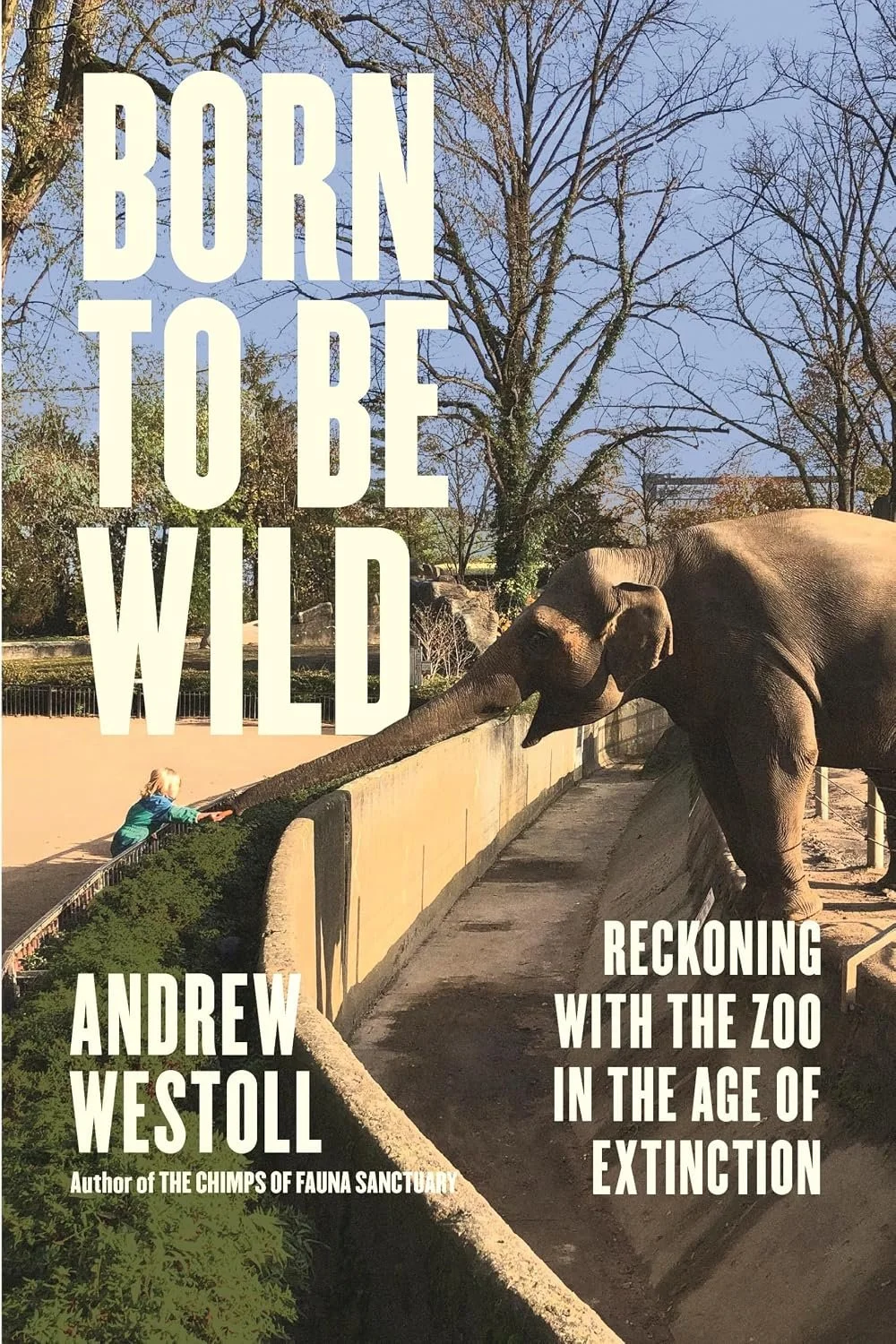 Westoll, Andrew - BORN TO BE WILD.jpg