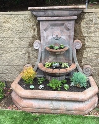 How about turning the fountain into a succulent garden, we don&rsquo;t just clean pools!  www.coastalpoolserviceandrepair.com