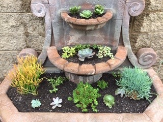 Another use for your fountain, beautiful succulent garden. One of the many services Coastal Pool Service &amp; Repair, we are here for you North County San Diego! www.coastalpoolserviceandrepair.com