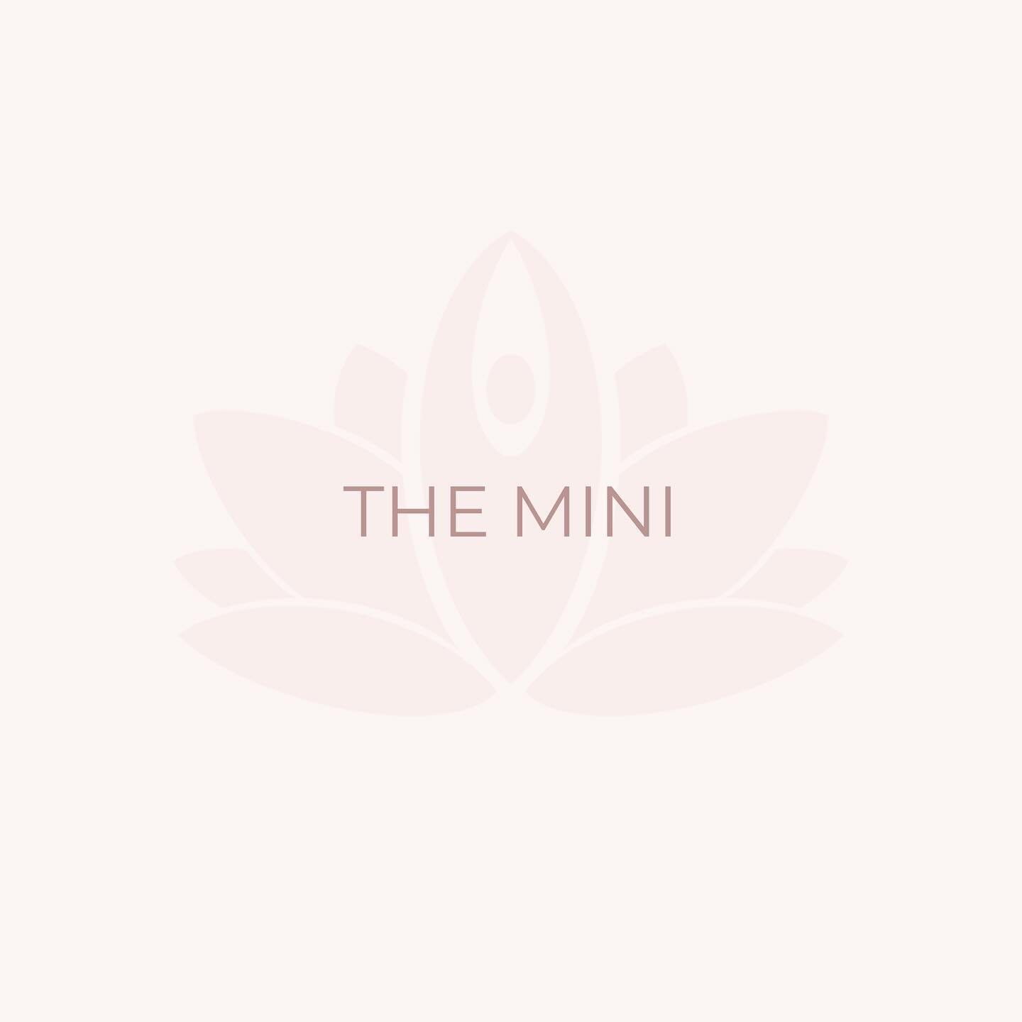 This week I&rsquo;m giving an overview of our 3 different membership options, first up: the MINI 🩷

With the mini membership you have:

✨ Access to 4 live classes per month
✨ Unlimited access to the on demand library
✨ Access to our bank of yummy re