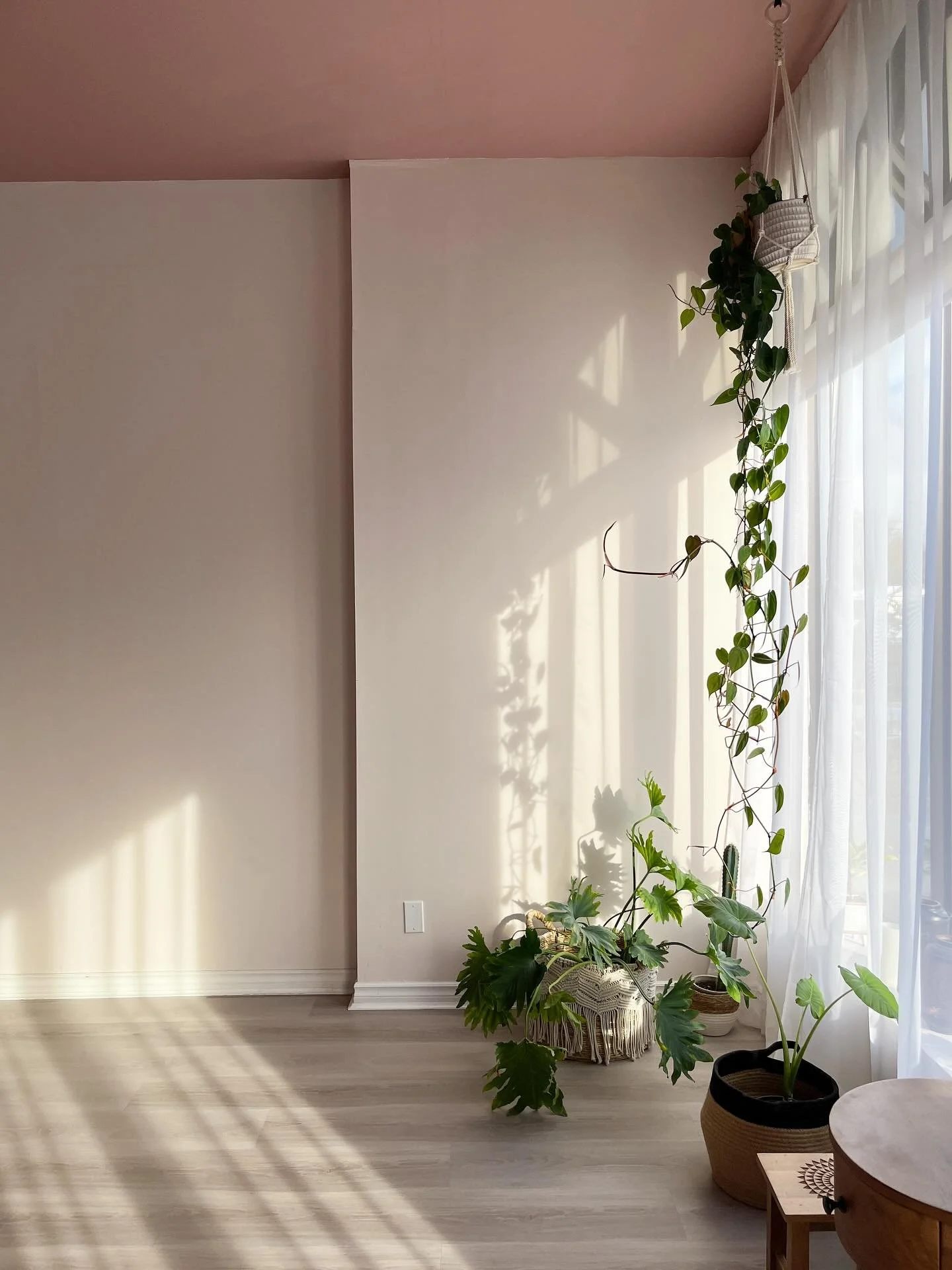 Join us for a class this weekend ✨

Saturday
9am Essentials
10:30am Gentle

Sunday
10:30am Gentle
12pm Surrender (Salt)
7pm Restore