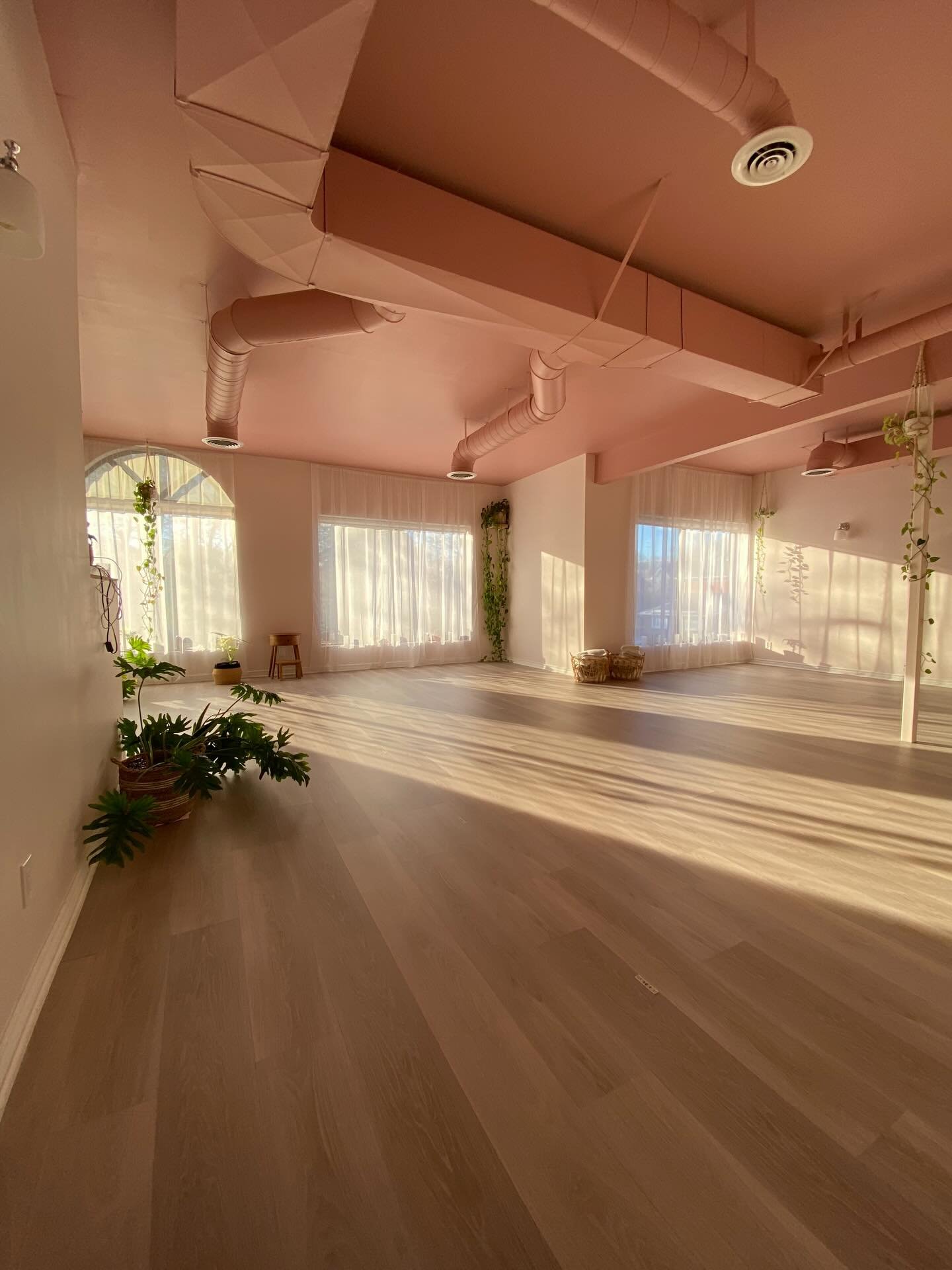 Some of my favourite moments from this week&hellip; captured by you 😍

Thank you for seeing Veda through your own lens and sharing these beautiful little snapshots of our space.
I love watching how each of you experiences the studio in your own way.