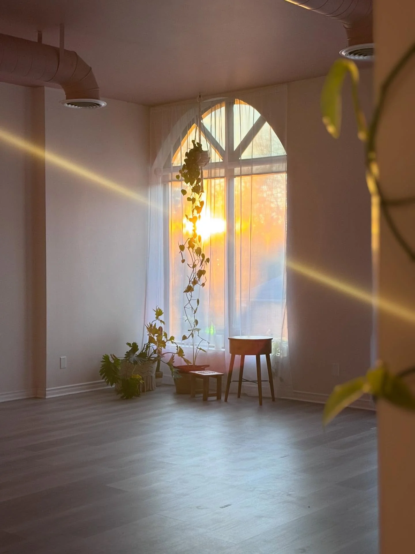 Come on 😍✨

Another beautiful picture that I woke up to last week. Thank you for capturing these moments ☀️