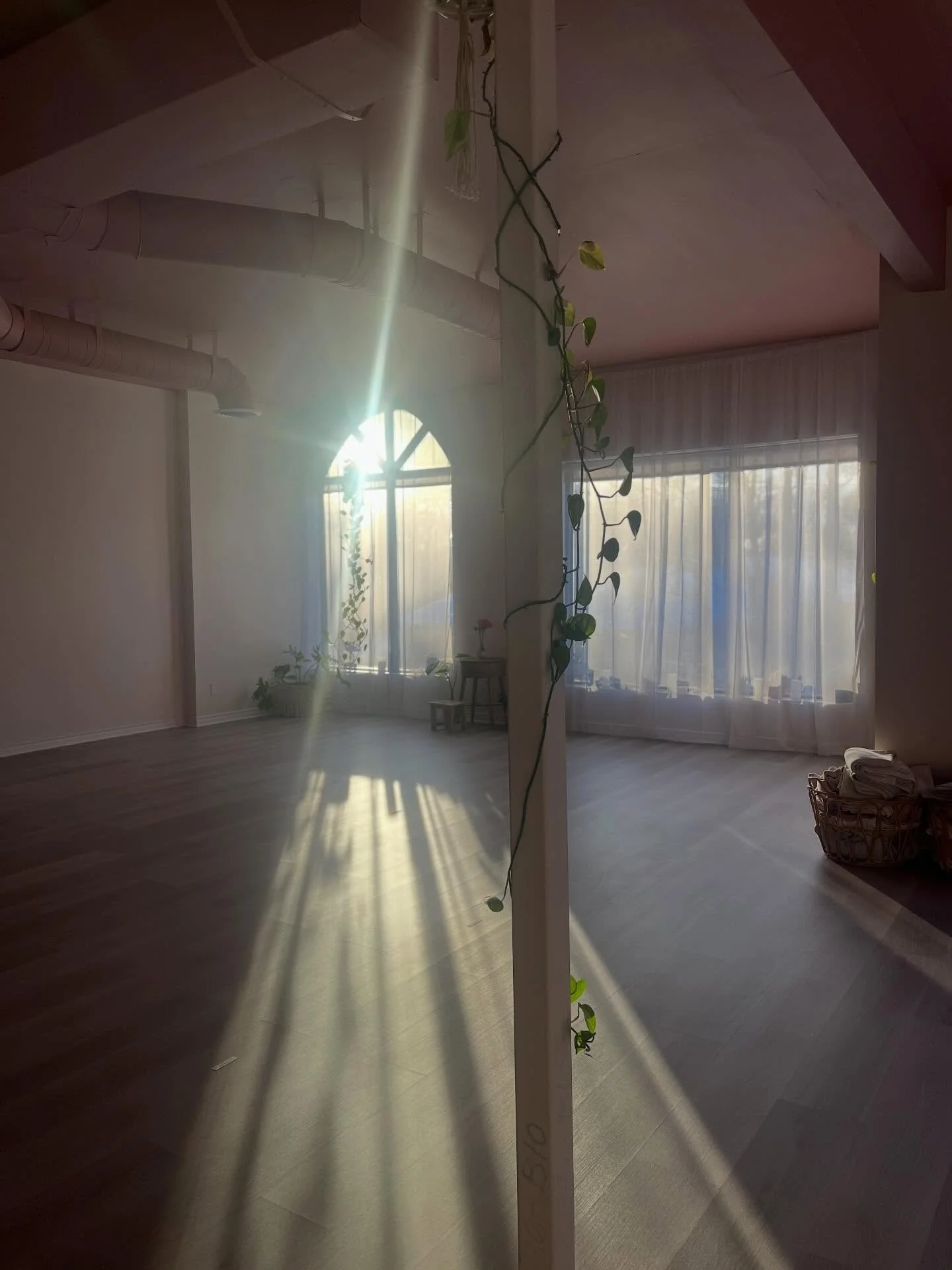 As I said in our February newsletter, my January camera roll is basically a love letter to the sun ☀️ here&rsquo;s just a few of the pictures I took of our safe space last month.

Check your inbox for our February updates:

✨ A few spots left in Part