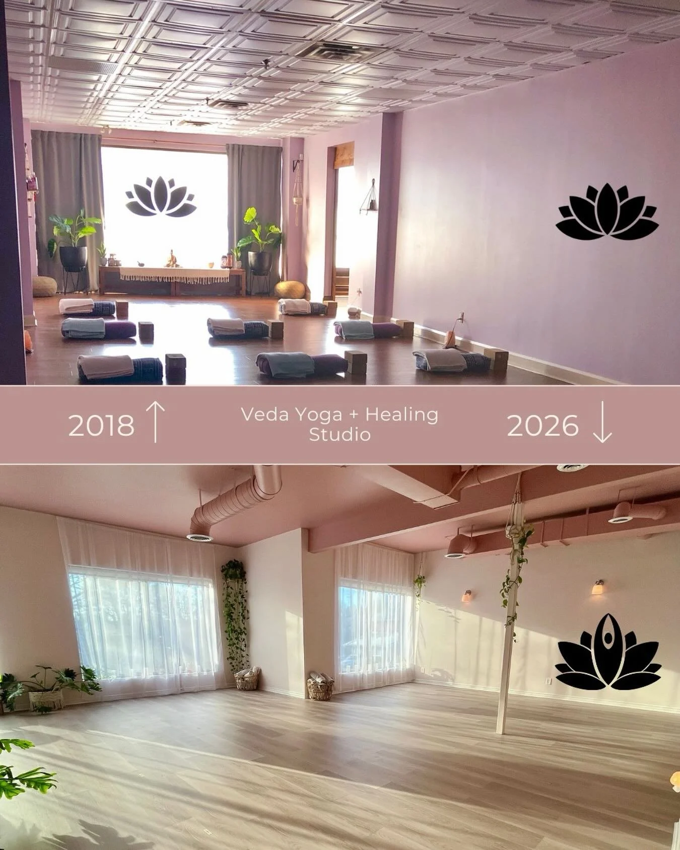Today I&rsquo;m reflecting on 8 years of Veda.

Eight years on this beautiful journey, and if I had the chance to do it all over again, I would in a heartbeat. From our very first space to where we are now, there have been so many lessons along the w