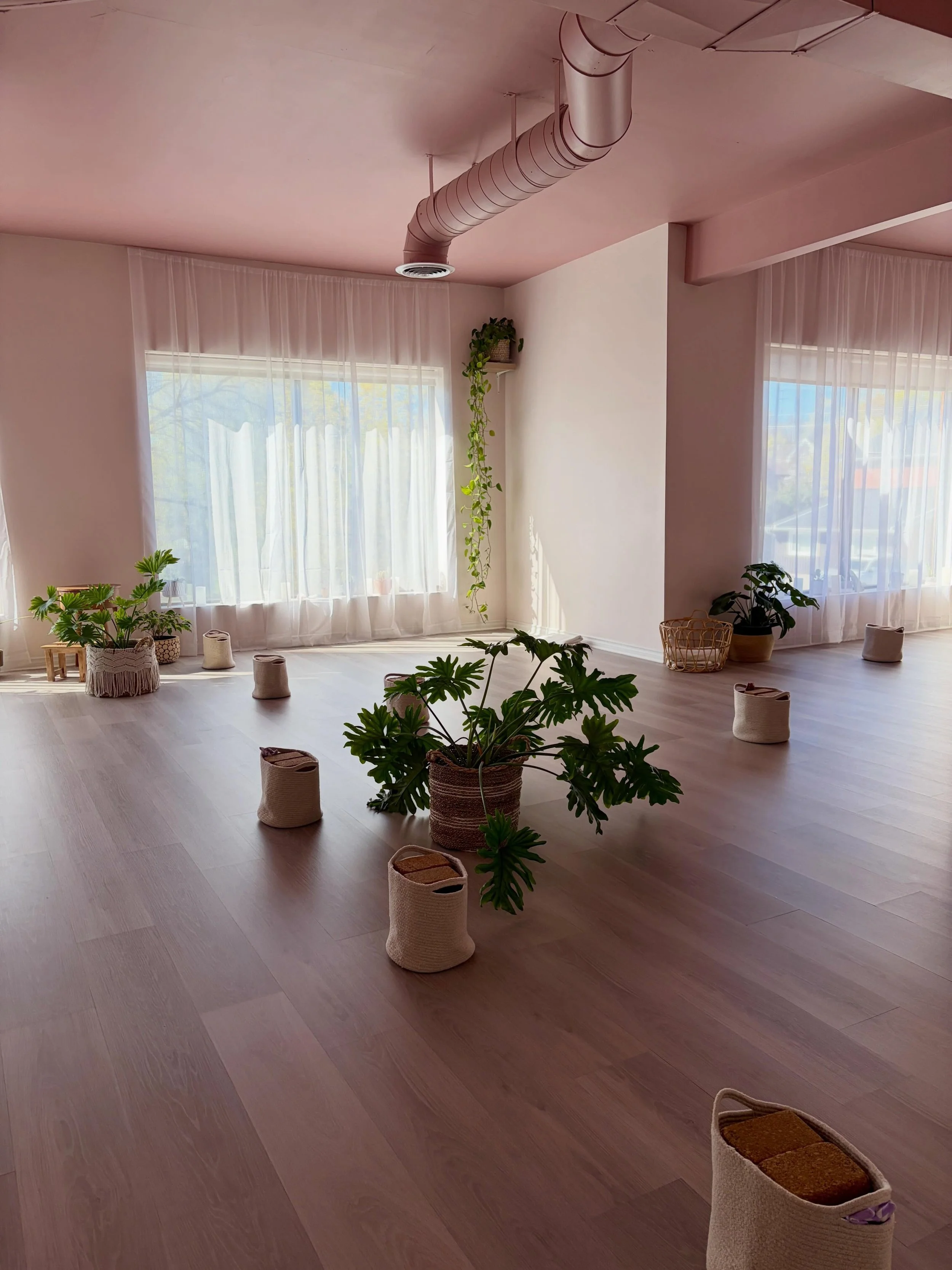 Our big plants have to take centre stage on Tuesdays so we can get allllll the wall space 😍

Wall yin is one of my favourite practices, the wall helps us move a little deeper into the poses (without feeling like we are going too deep!)

FYI I find t