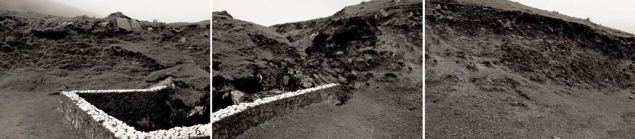 11.