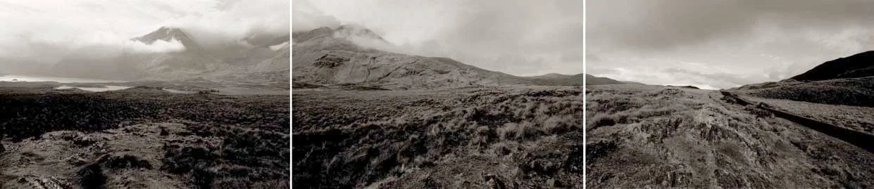 14.