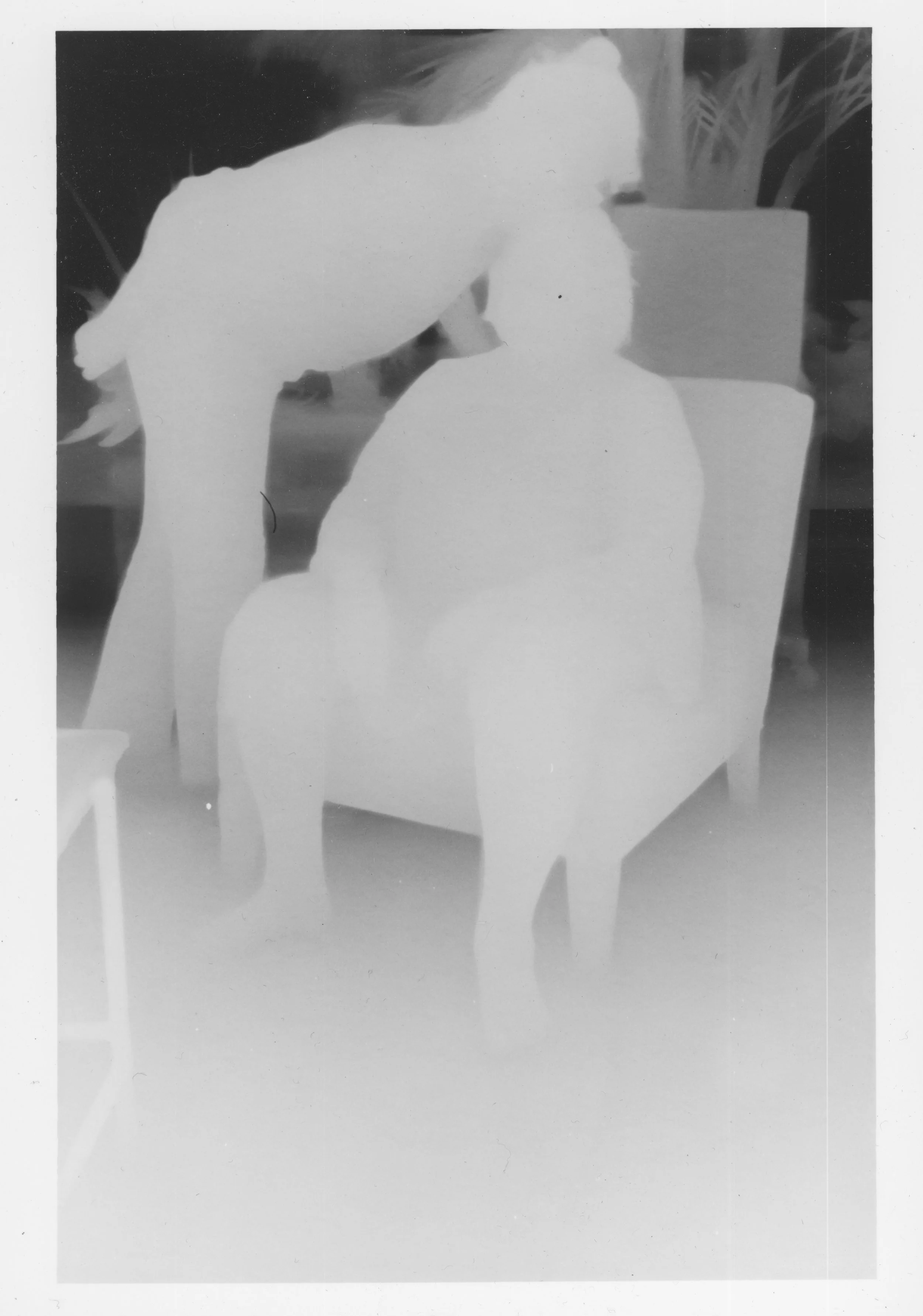 Scan 1.jpeg