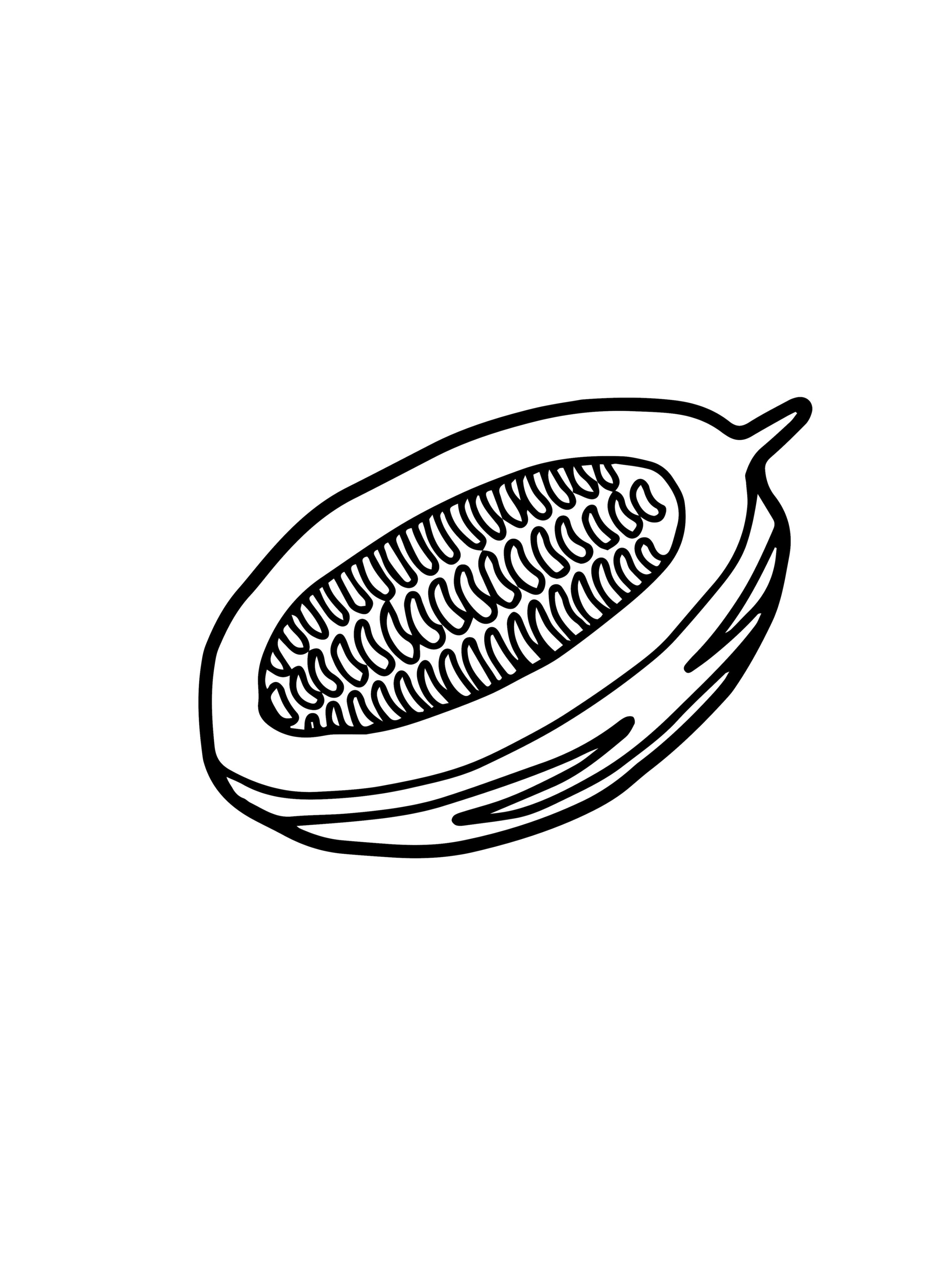 Numbers Cacao-01.png