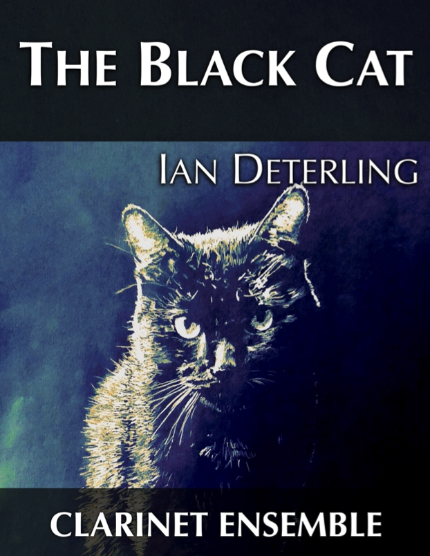 The Black Cat, Op. 13