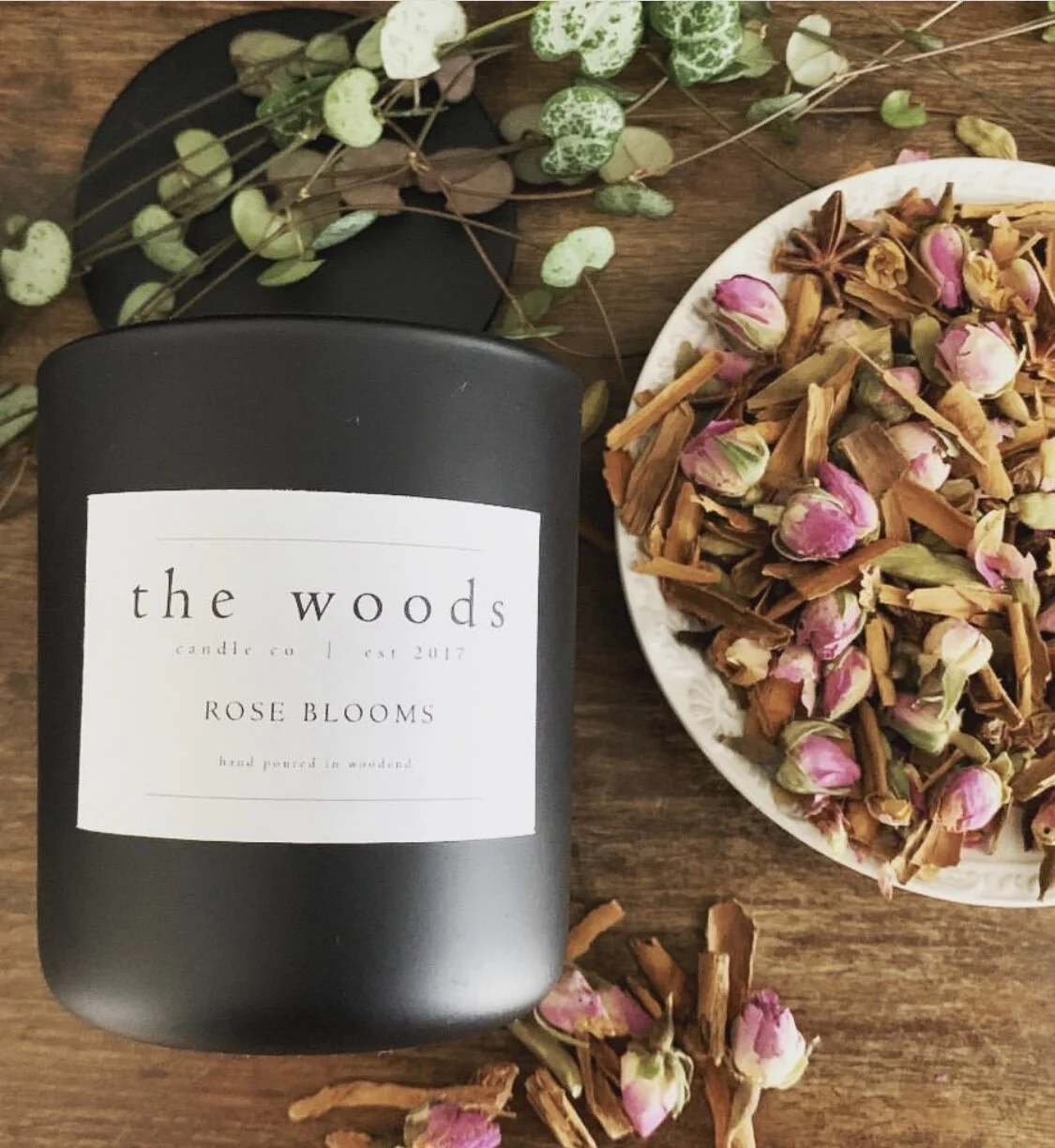 22CB38CD-20C0-4CA1-AC72-73C8E7C48AA2