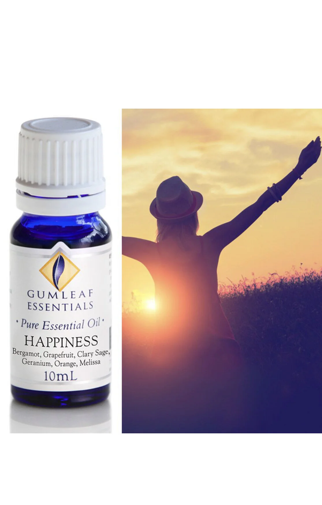 AF18374E-CED8-4727-BBF9-85348C370D53