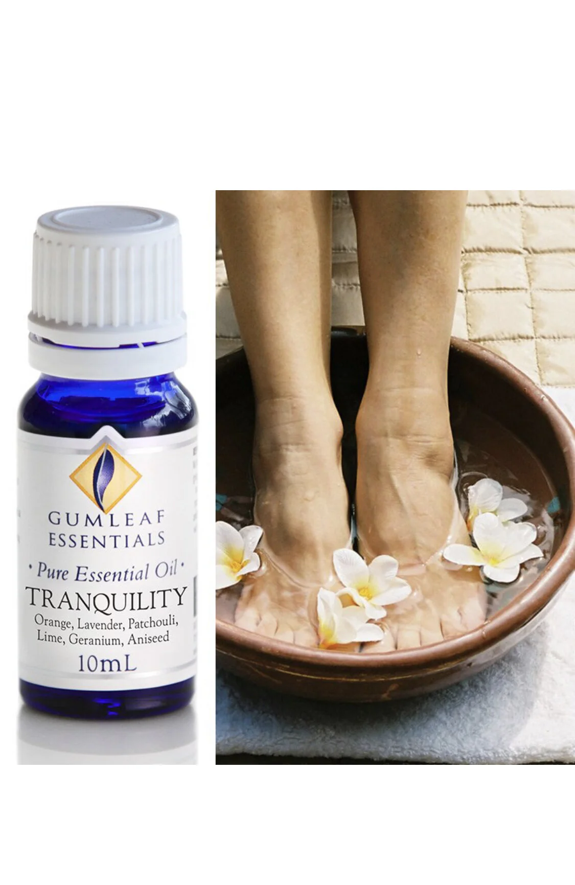 DBC7697A-A4EE-4D8C-B403-91B96B862D4F