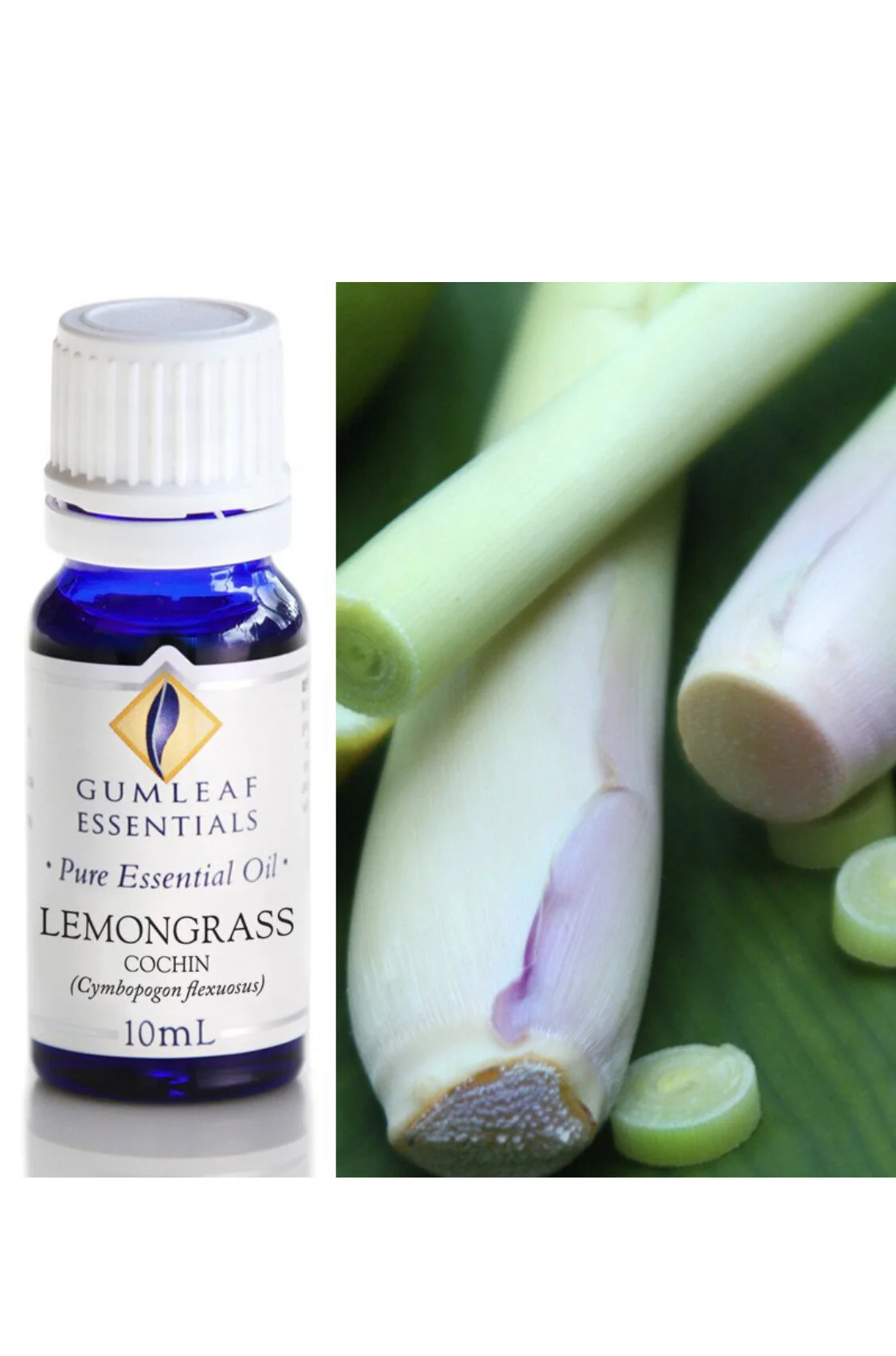 154A283D-A86F-4EED-ADF8-EC1F9FE8745C