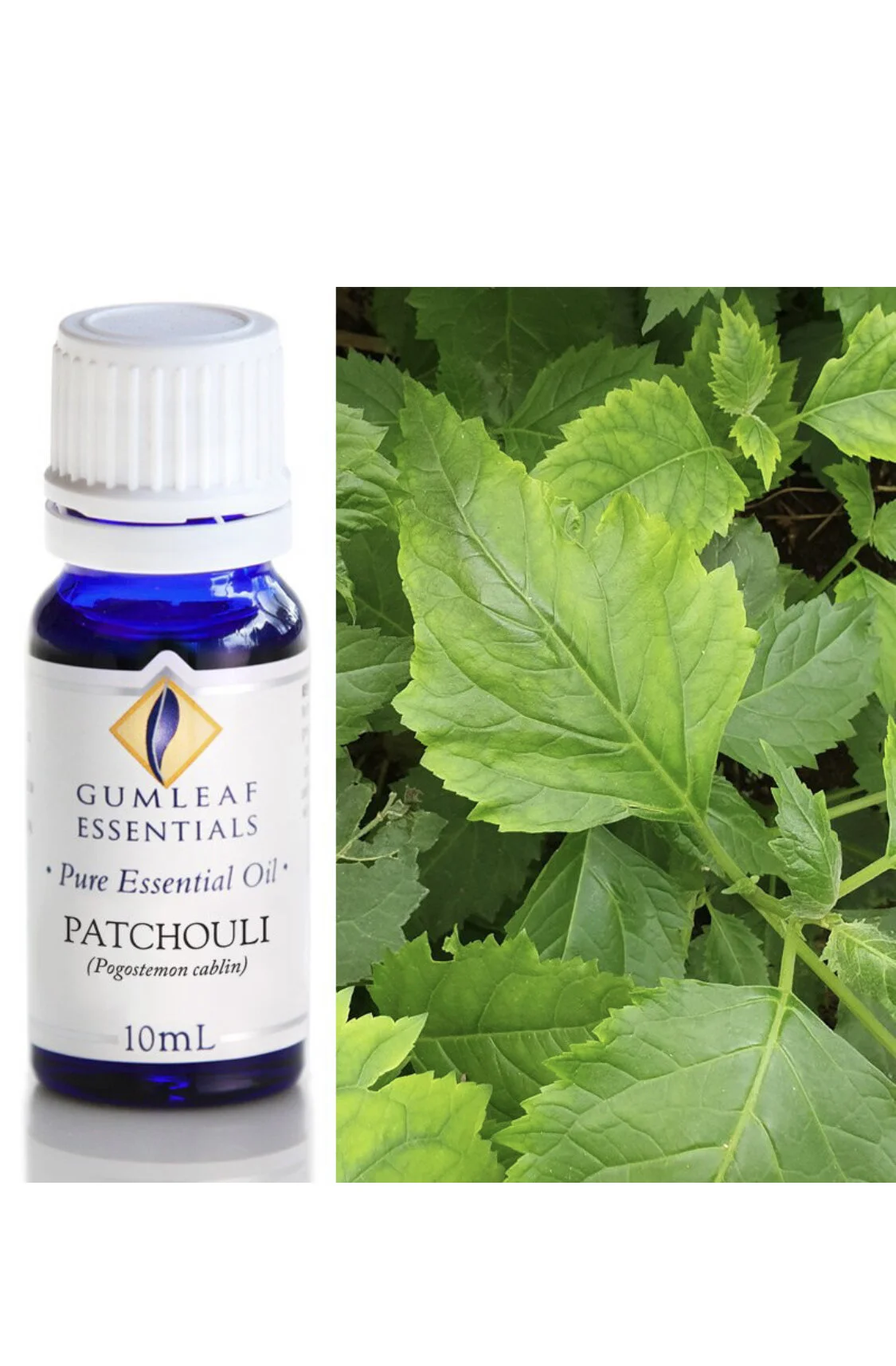 CAF02C99-E3B6-4445-8DD4-911213C71C02