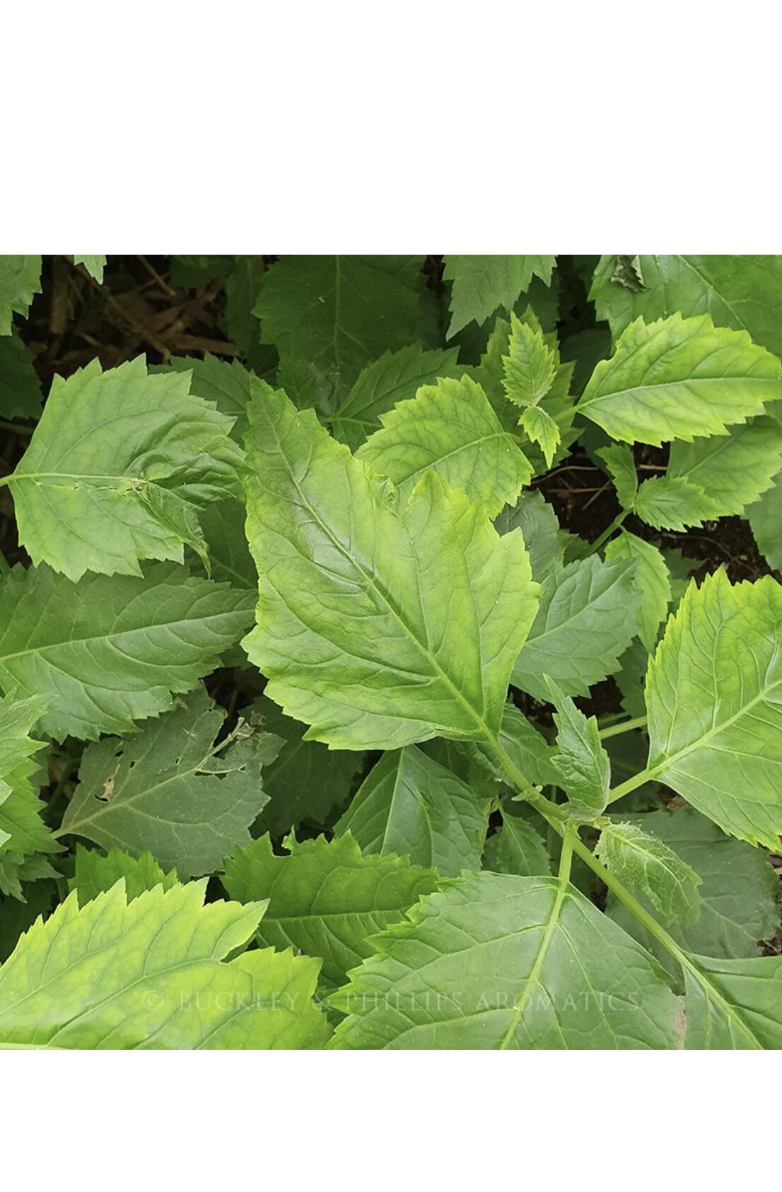 8CD69938-9EB1-4EB2-AAE6-A4F47FF48096