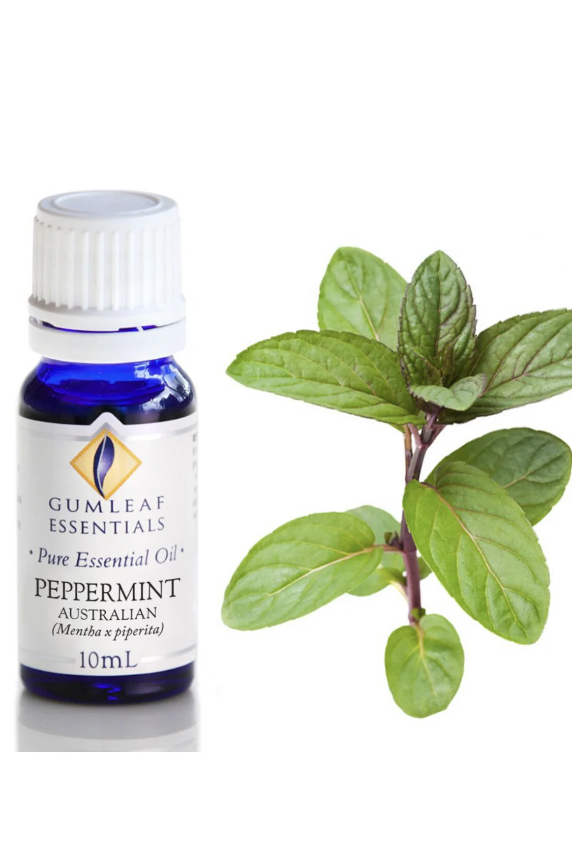 DB76E636-1E29-4358-B7D5-2BEB592D7F42