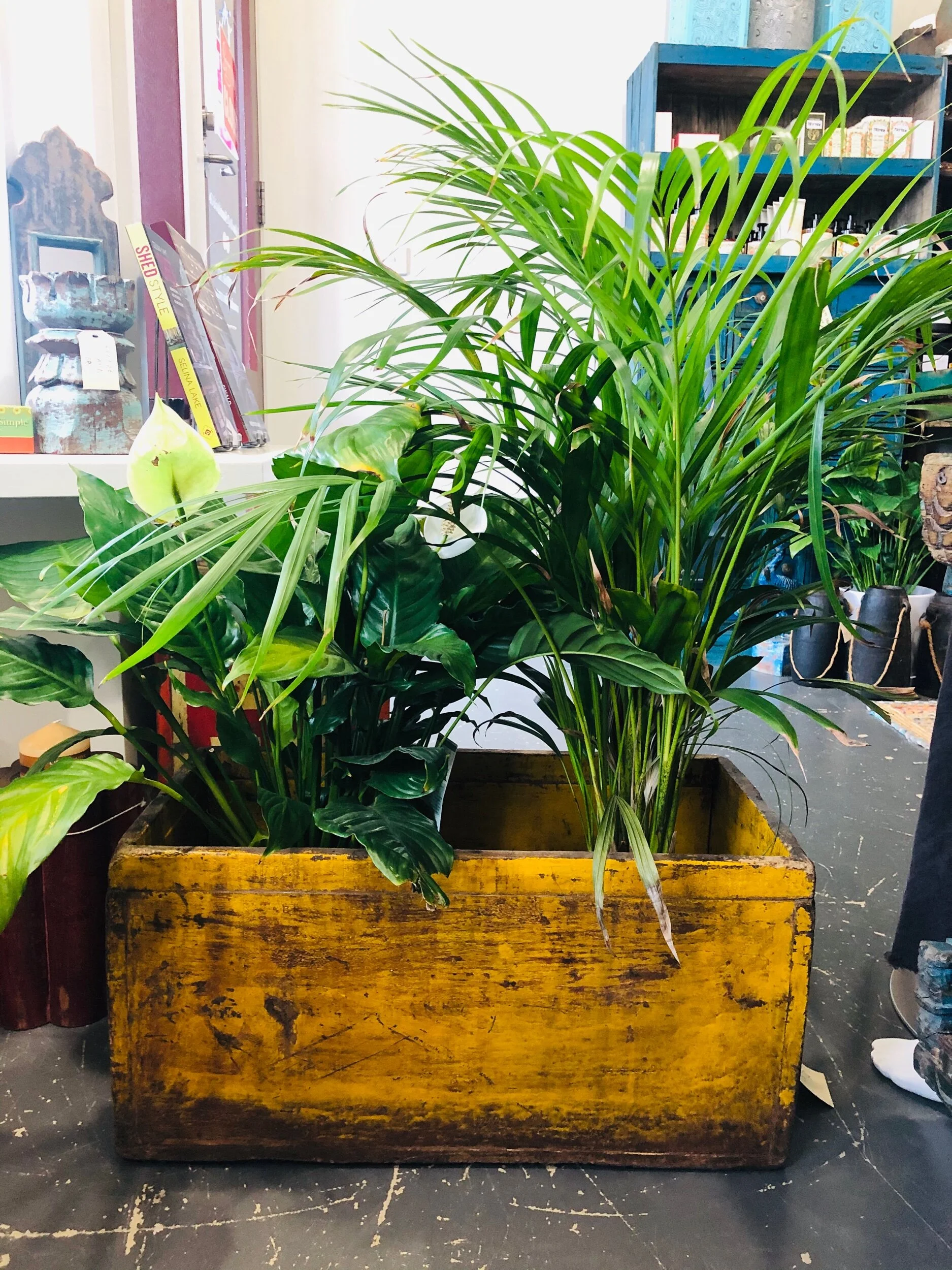 EFB0F05F-15D7-4B72-80E7-6456C3F216B2