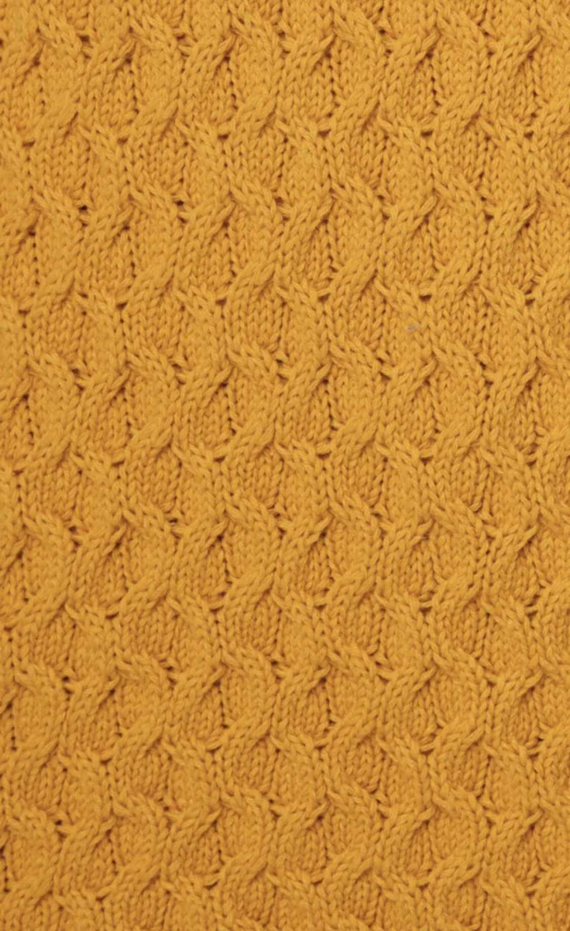 B1D91291-385B-40F0-87AE-58DF2E781100