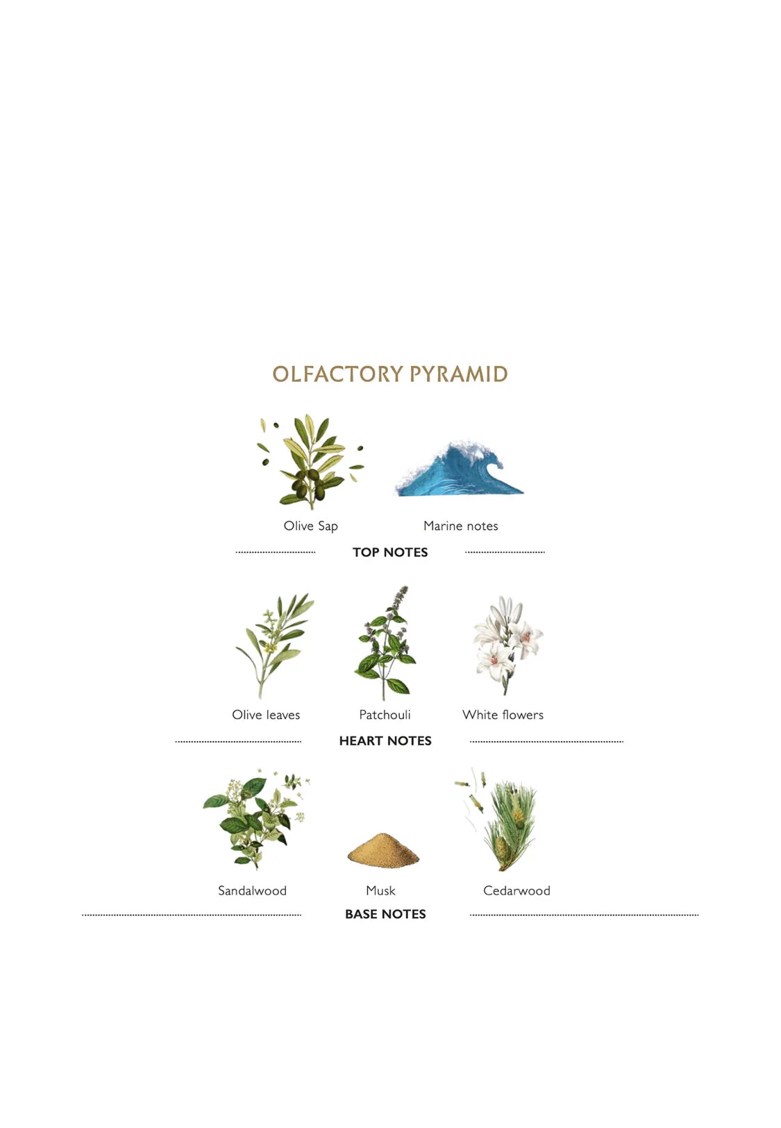 A6B6FB23-FCC1-4FBE-99B1-8ED8C0D9A844