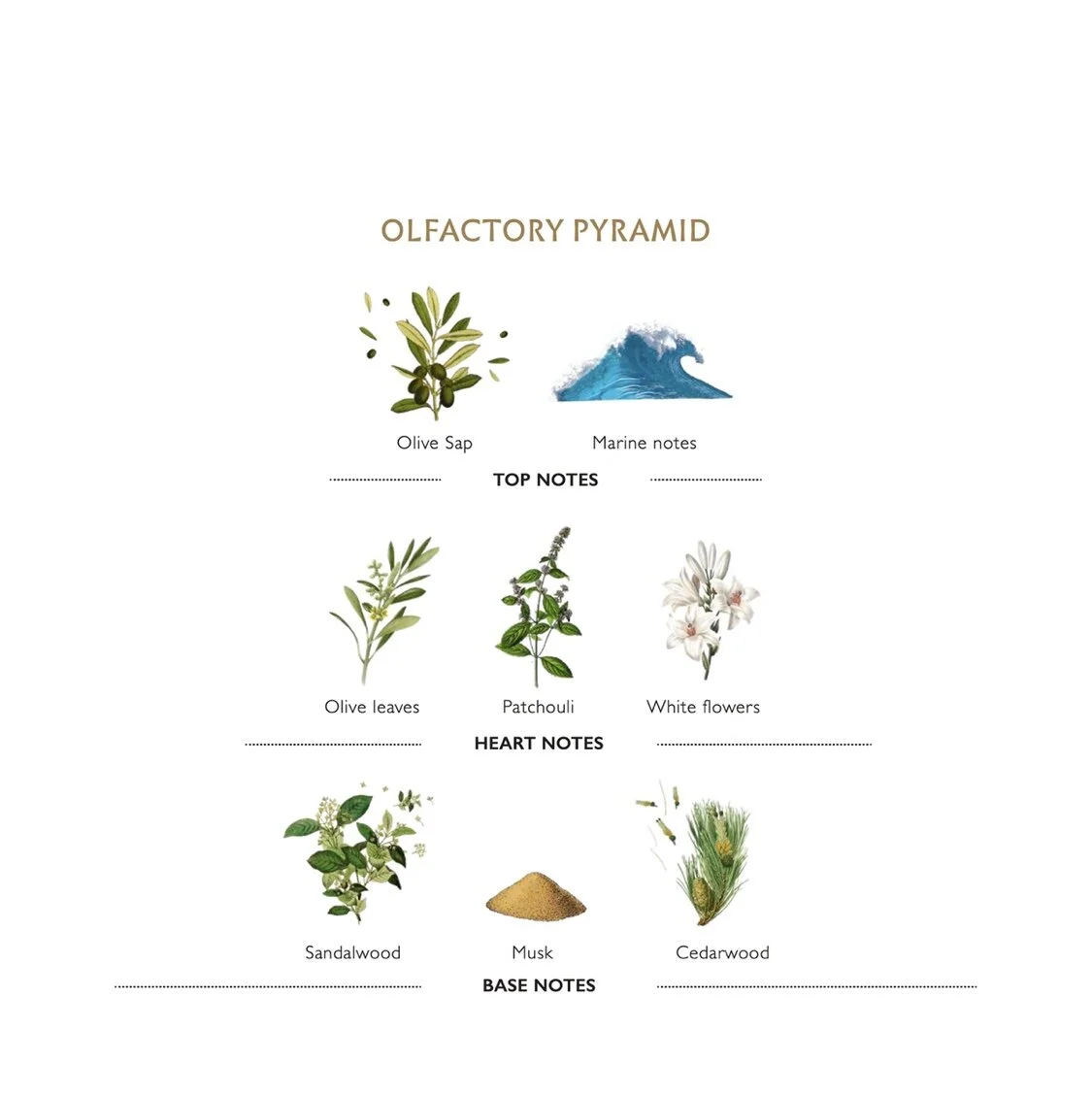 9D9FA144-52E9-4F54-8C3A-BB0F40CAF7D6