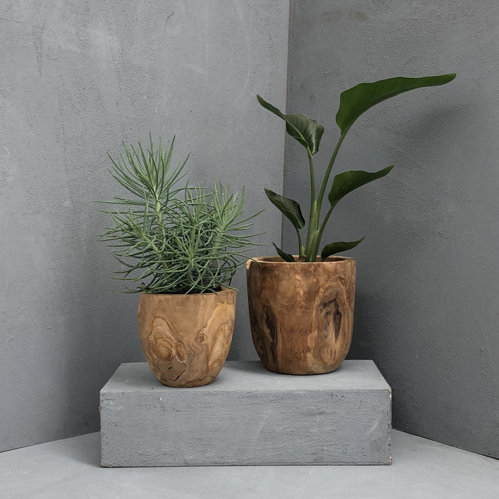 60B95734-F15C-4102-9A97-59E85FC67C4F