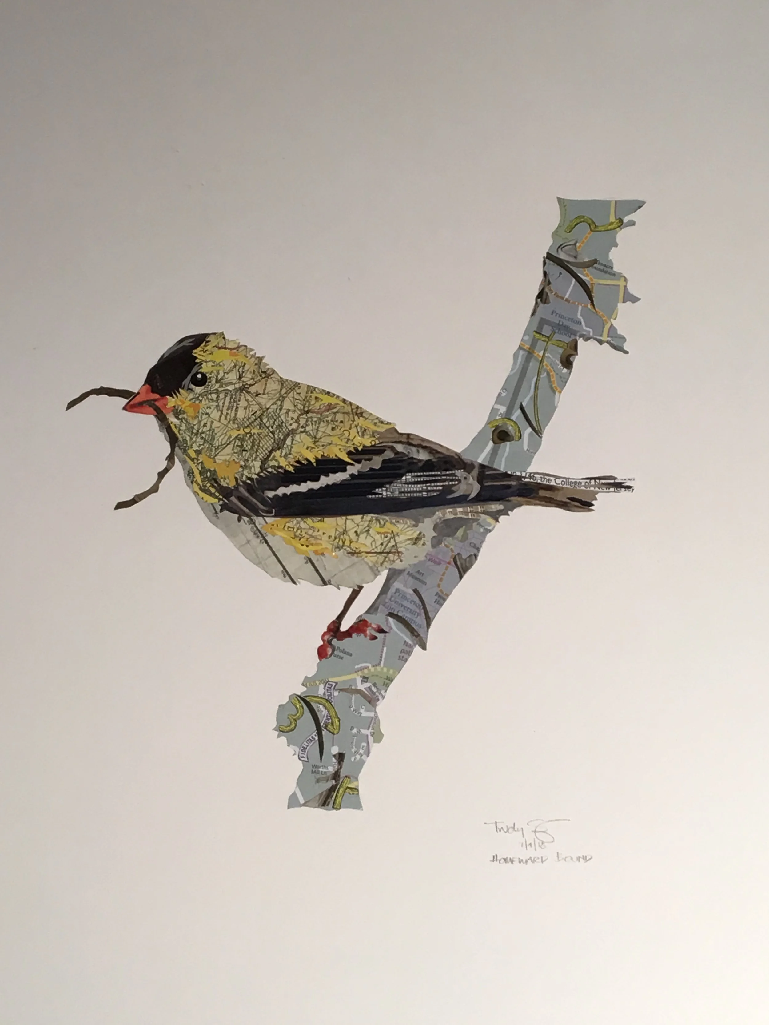 Homeward Bound  (2018)