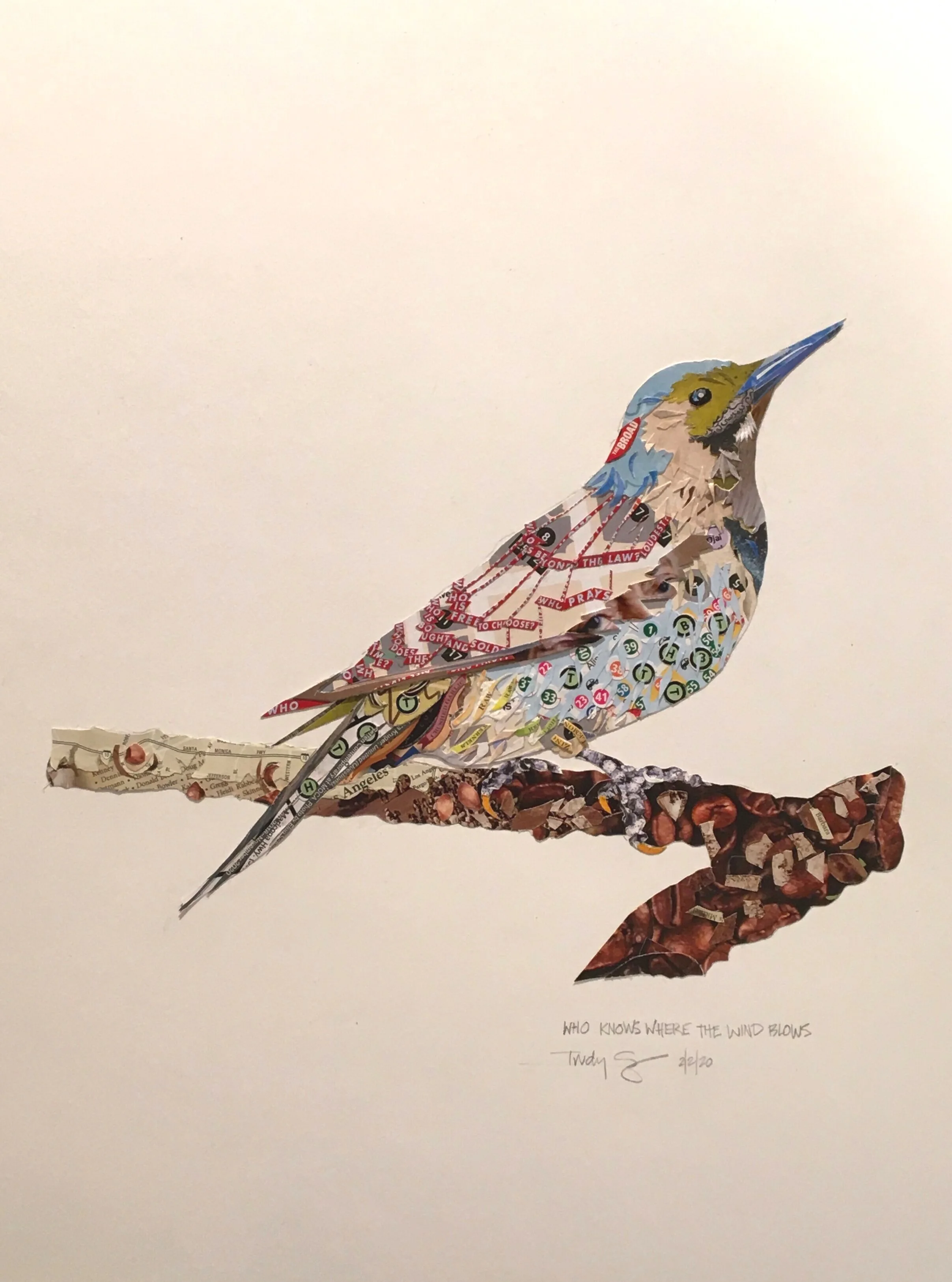 Who Knows Where The Wind Blows - 2020