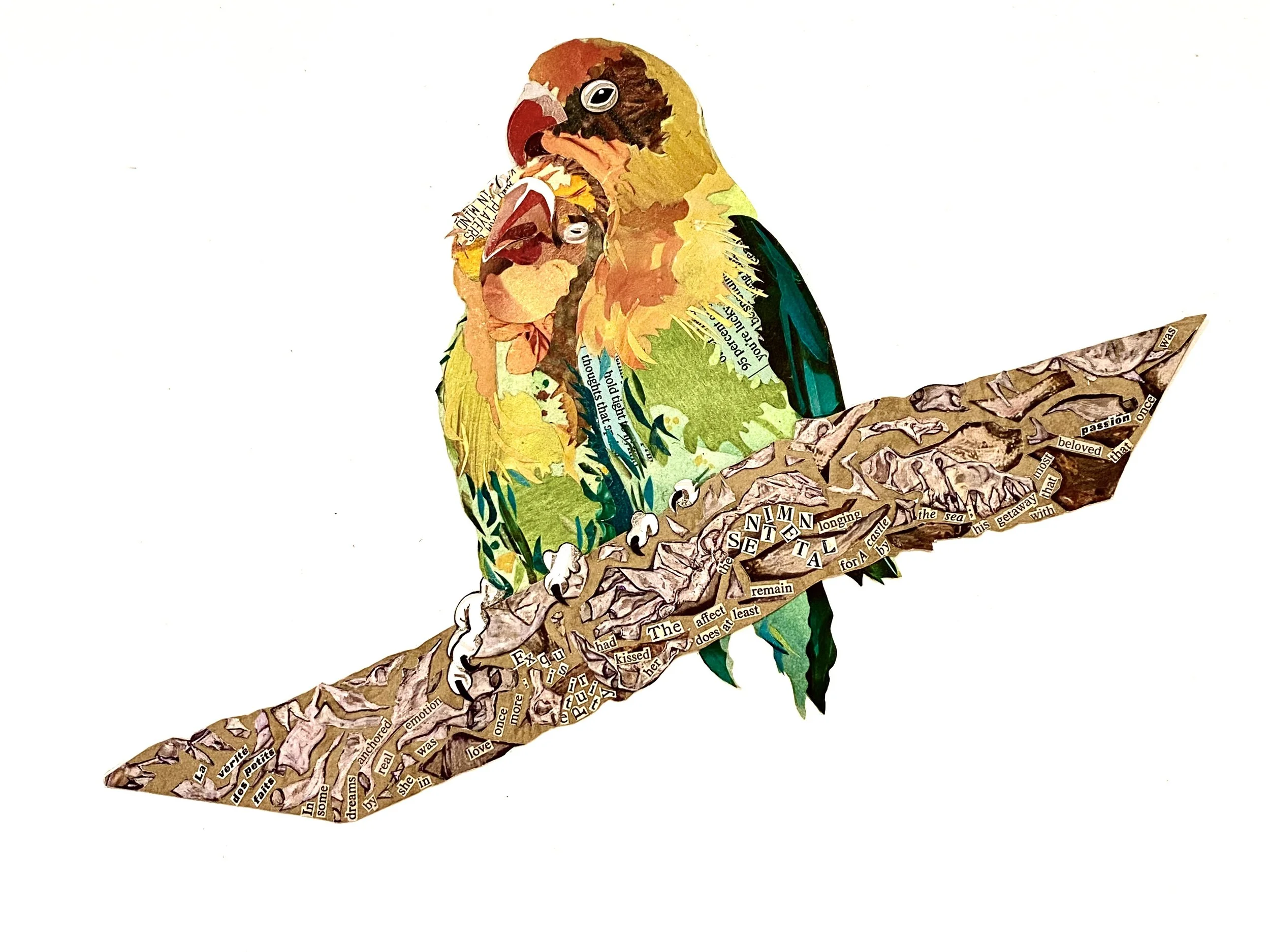 Wildest Dreams (Lovebirds)