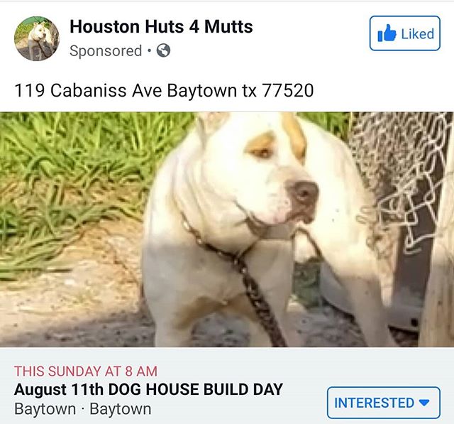 This Sunday! August 11! Come join us for our build day 🏠🐕♥️. If you would like to donate, link in Bio to our PayPal ☺️