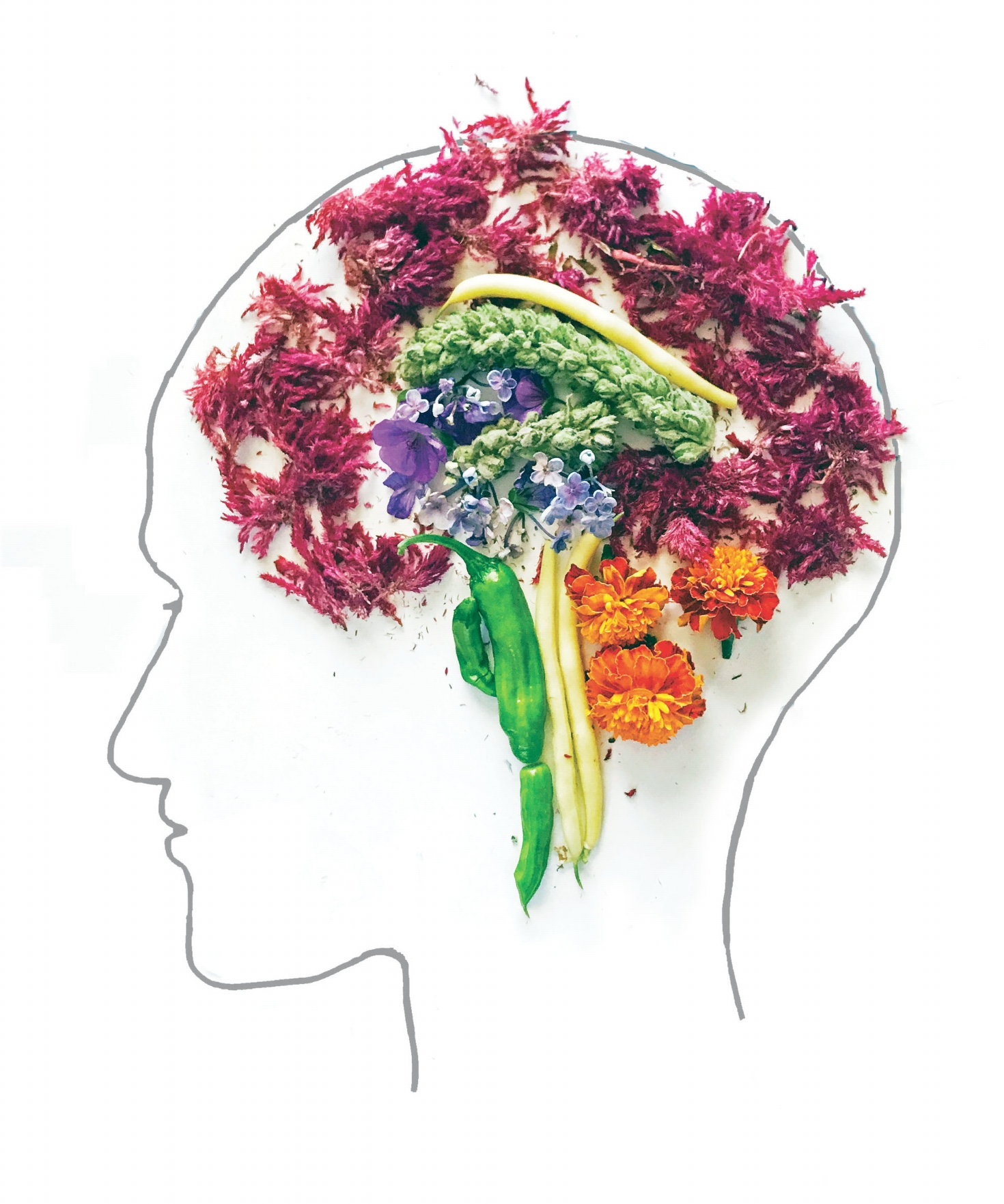 flowerbrain10.jpg