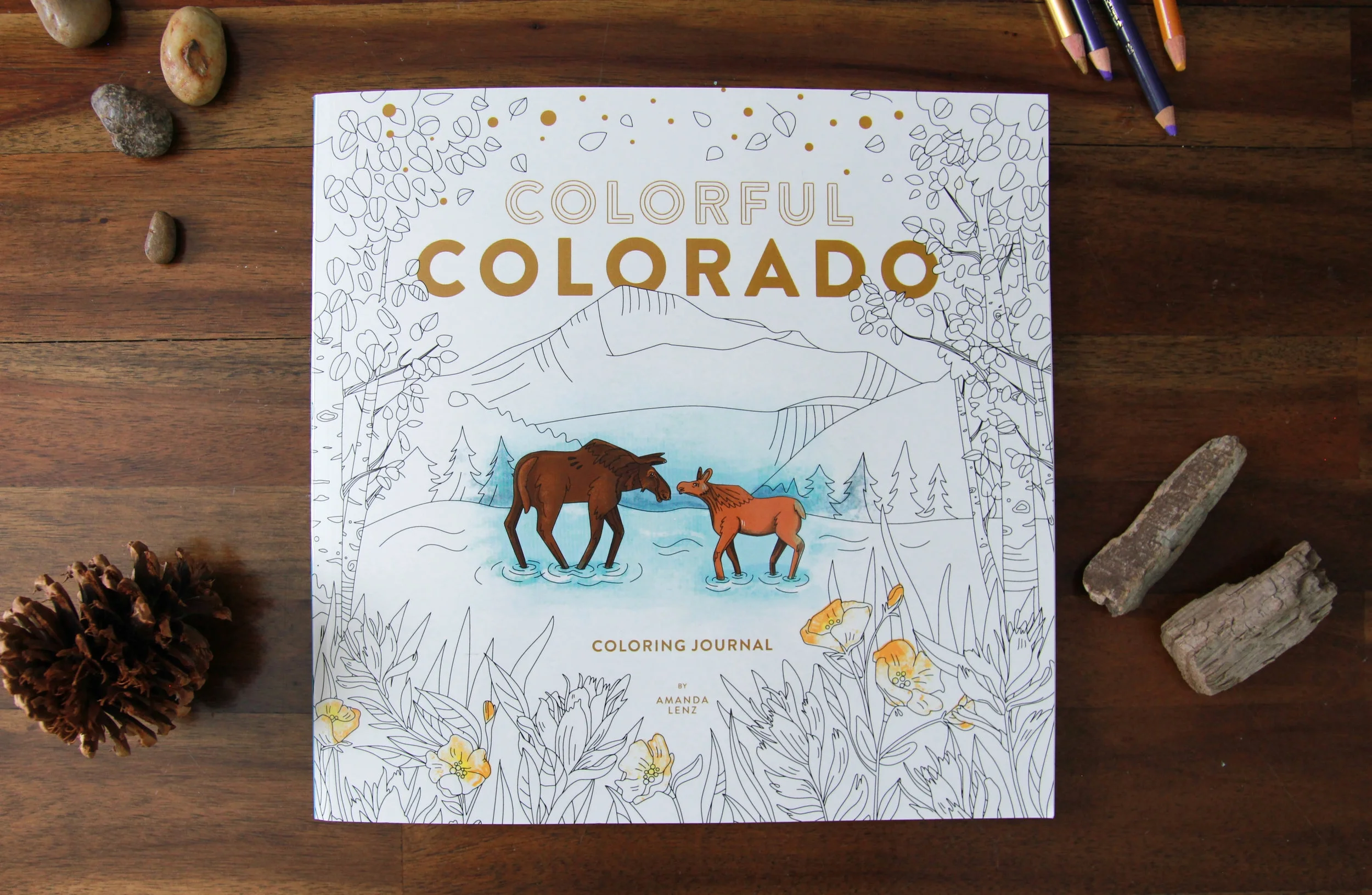 SHOP — Colorful States Journals