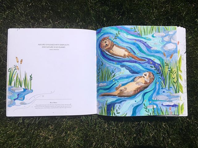 Nature is pleased with simplicity. And Nature is no dummy.
.
-Isaac Newton
.
.
.
.
#colorfulcoloradojournal #riverotter #river #otter #mountains #colorfulcolorado #colorado #colorful #adventure #coloringbook #coloring #illustration #artwork #colors #