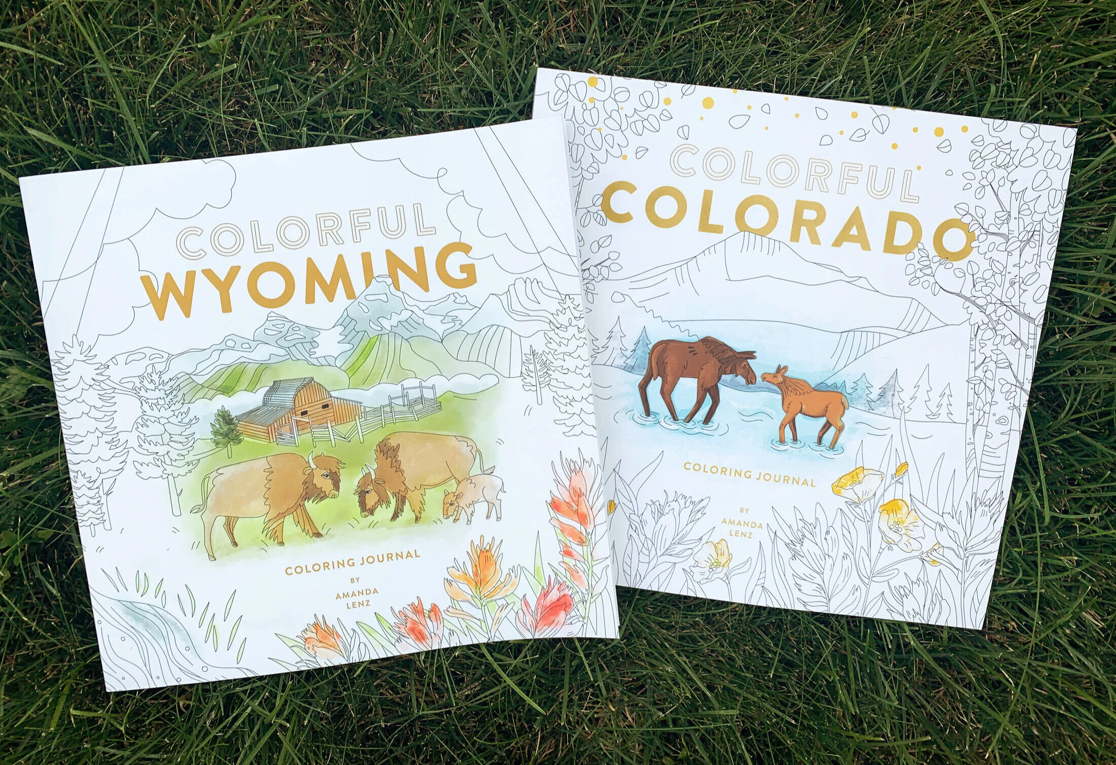 CO_WY.jpg