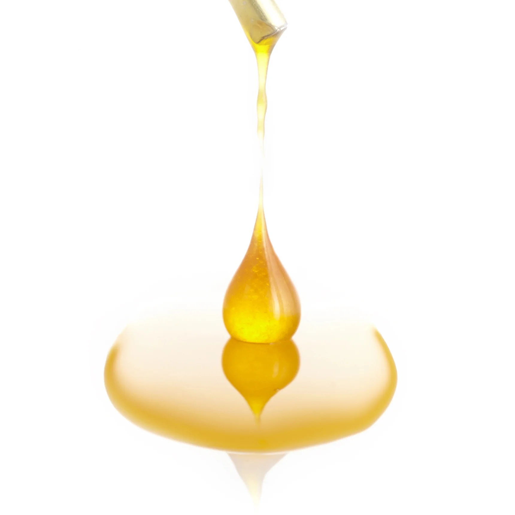 WEB_Sunset Sherbert-Cannessence_v359883_Gold Drop_$50_Studio_10.19.15_32979 copy.jpg