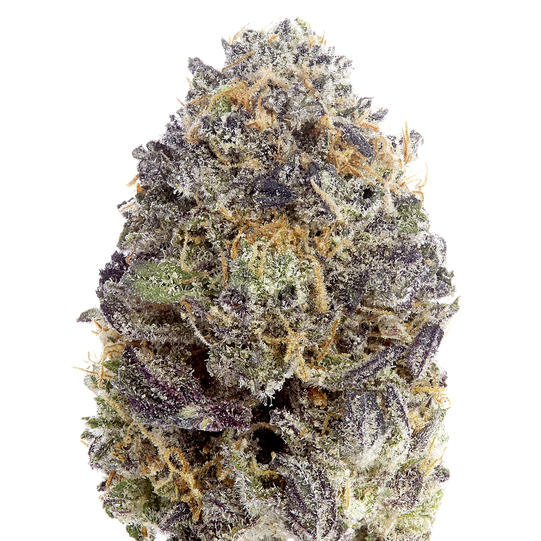 UV Purple_v402142_UVG_$50_NS Studio_03.07.16.jpg