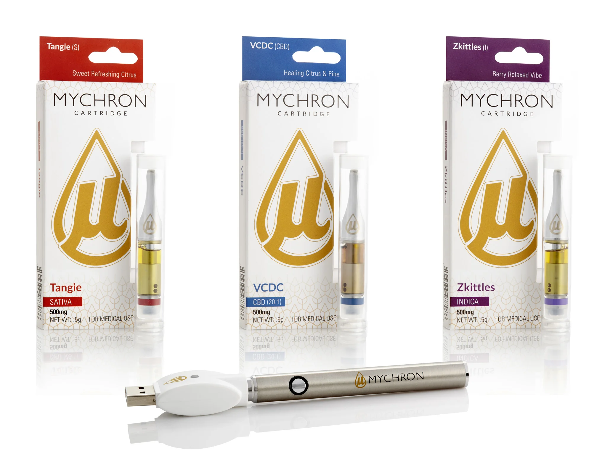 MYCHRON_FAMILY HERO_2.jpg
