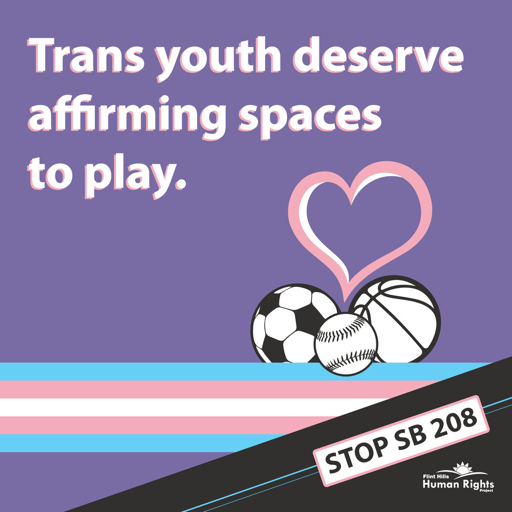 Stop SB 208_Affirming Spaces-01-01.jpg