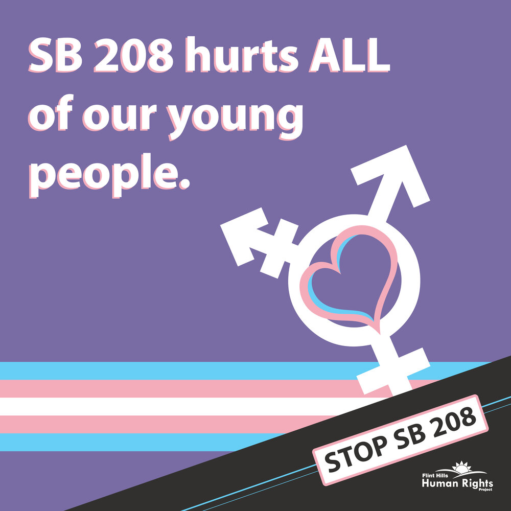 Stop SB 208_Hurts All Young People-01.jpg