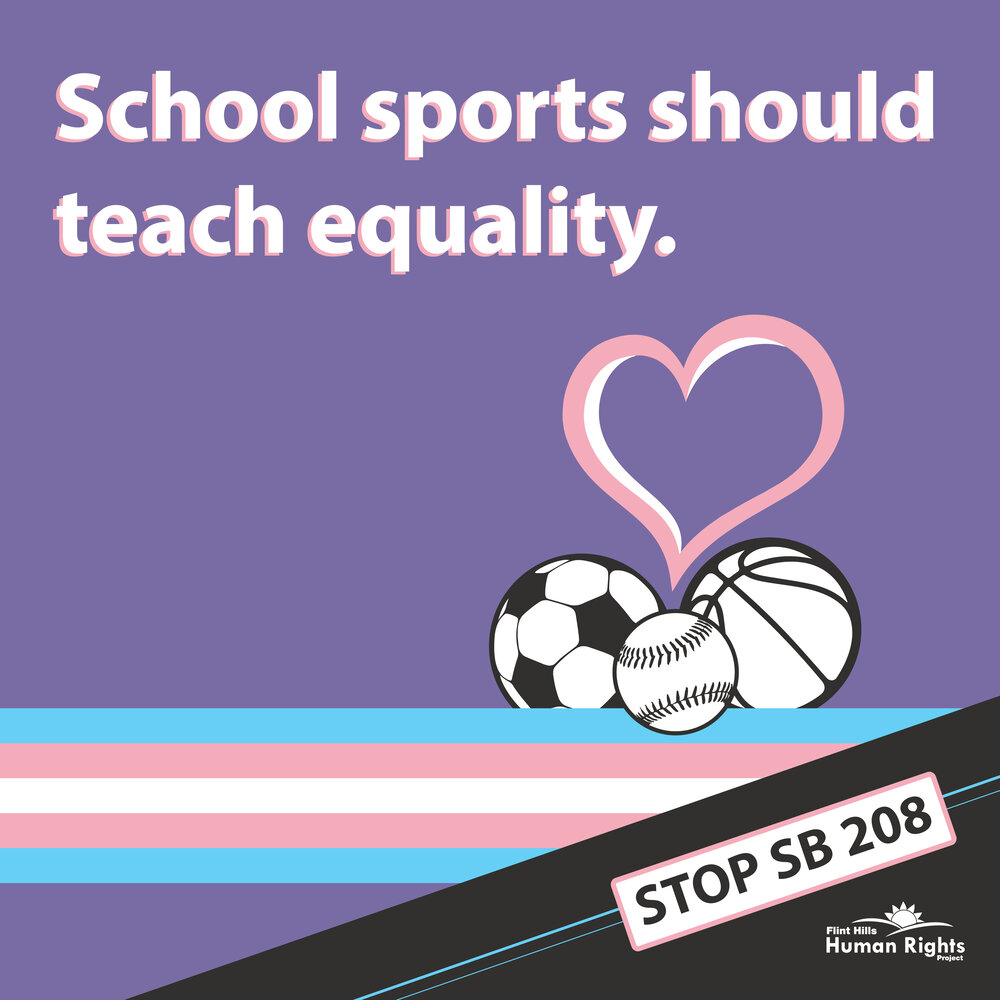 Stop SB 208_Teach Equality-01.jpg
