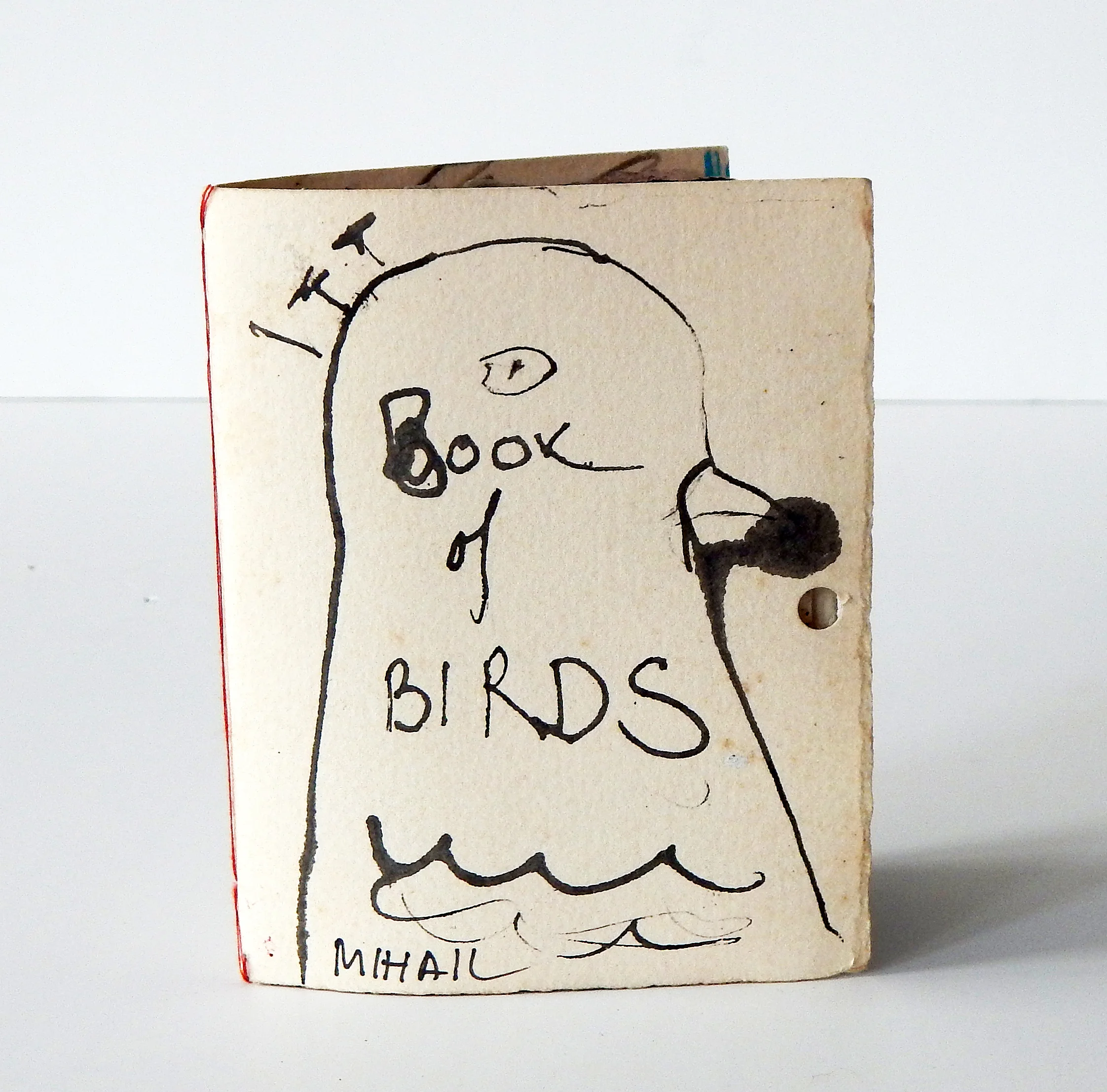 BOOK OF BIRDS