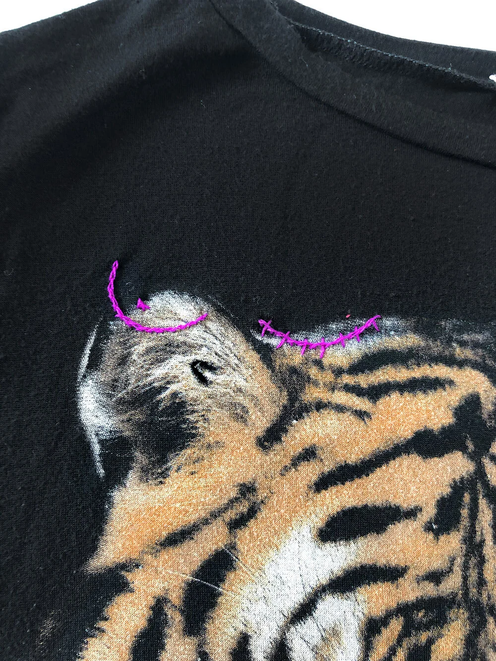 KW - PI - tiger02.jpg