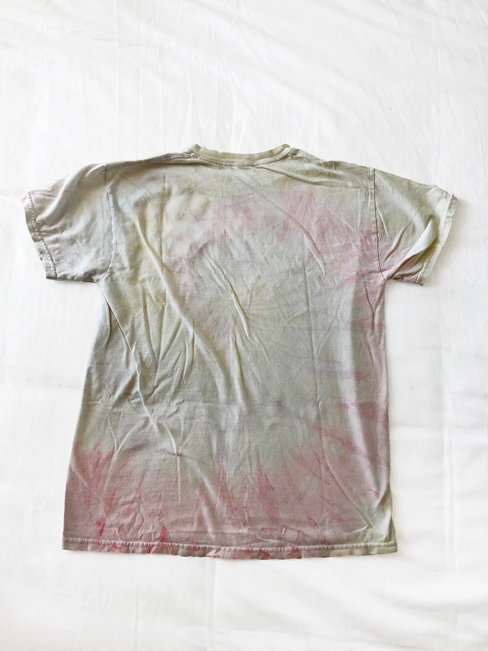 KW - PI - snoopy03.jpg